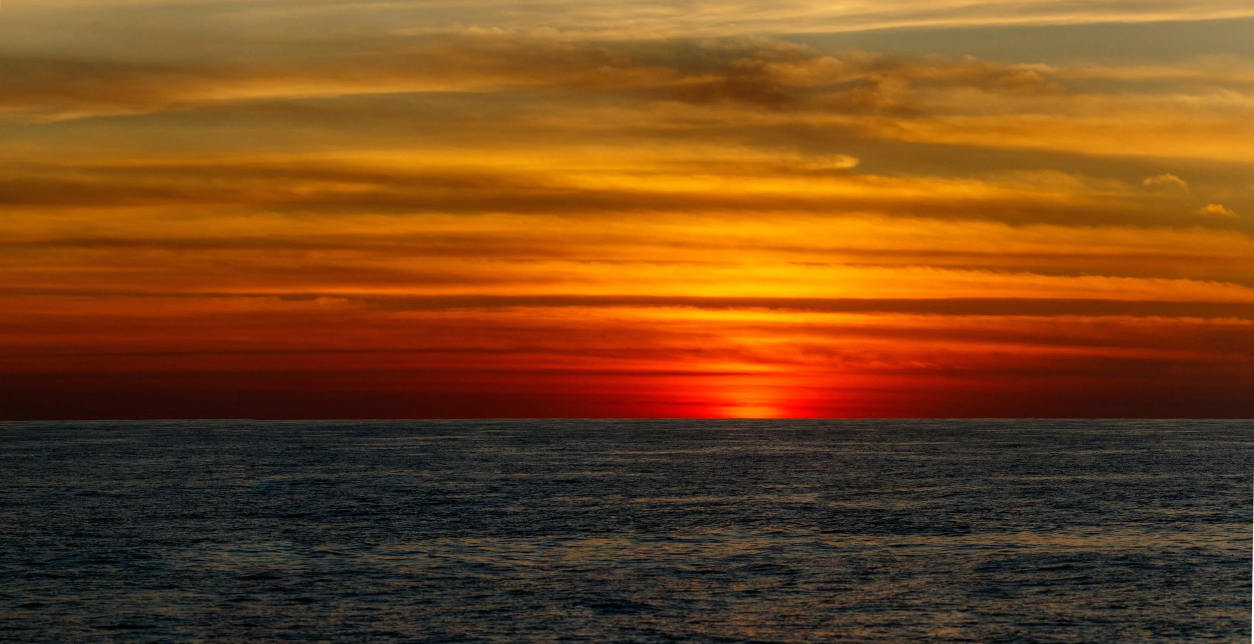 Murray Kelman Photography - image-14.jpg