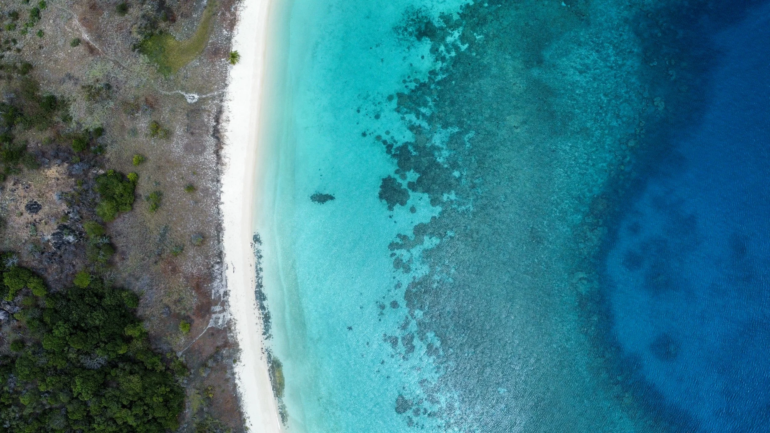 Forbe's Island