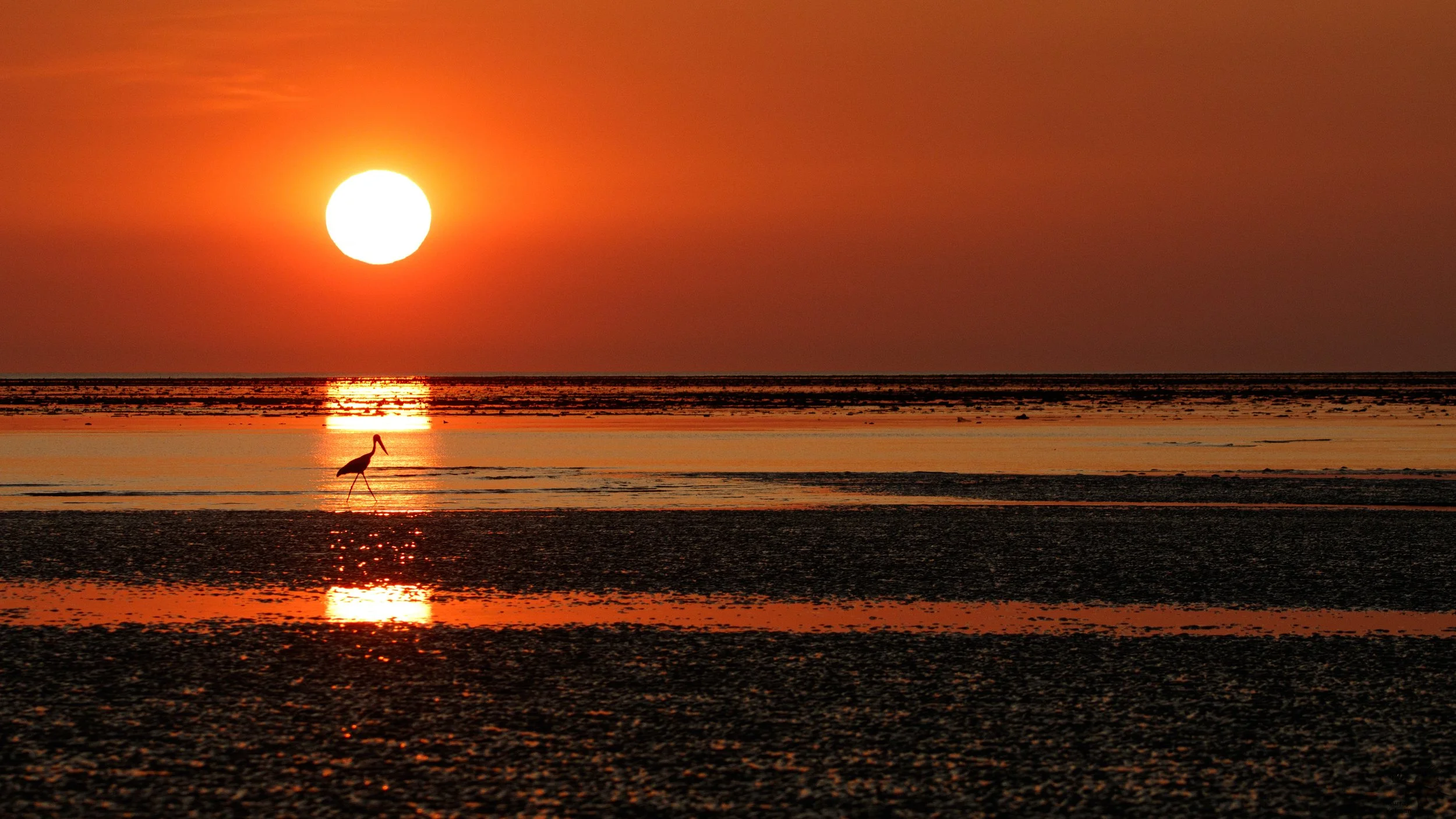 Murray Kelman Photography - image-92.jpg