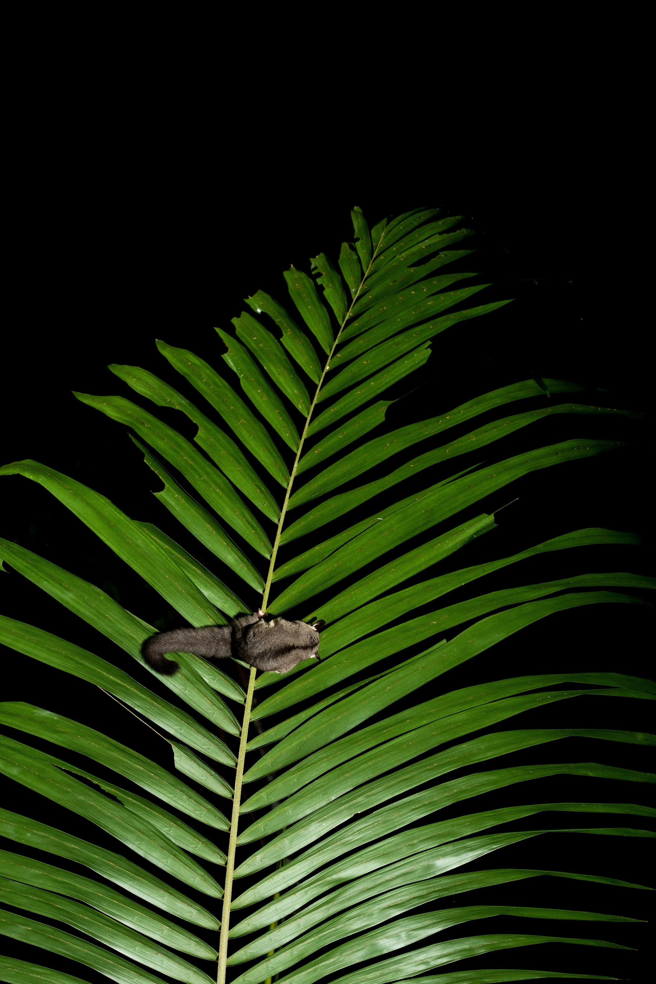 Murray Kelman Photography - image-113.jpg