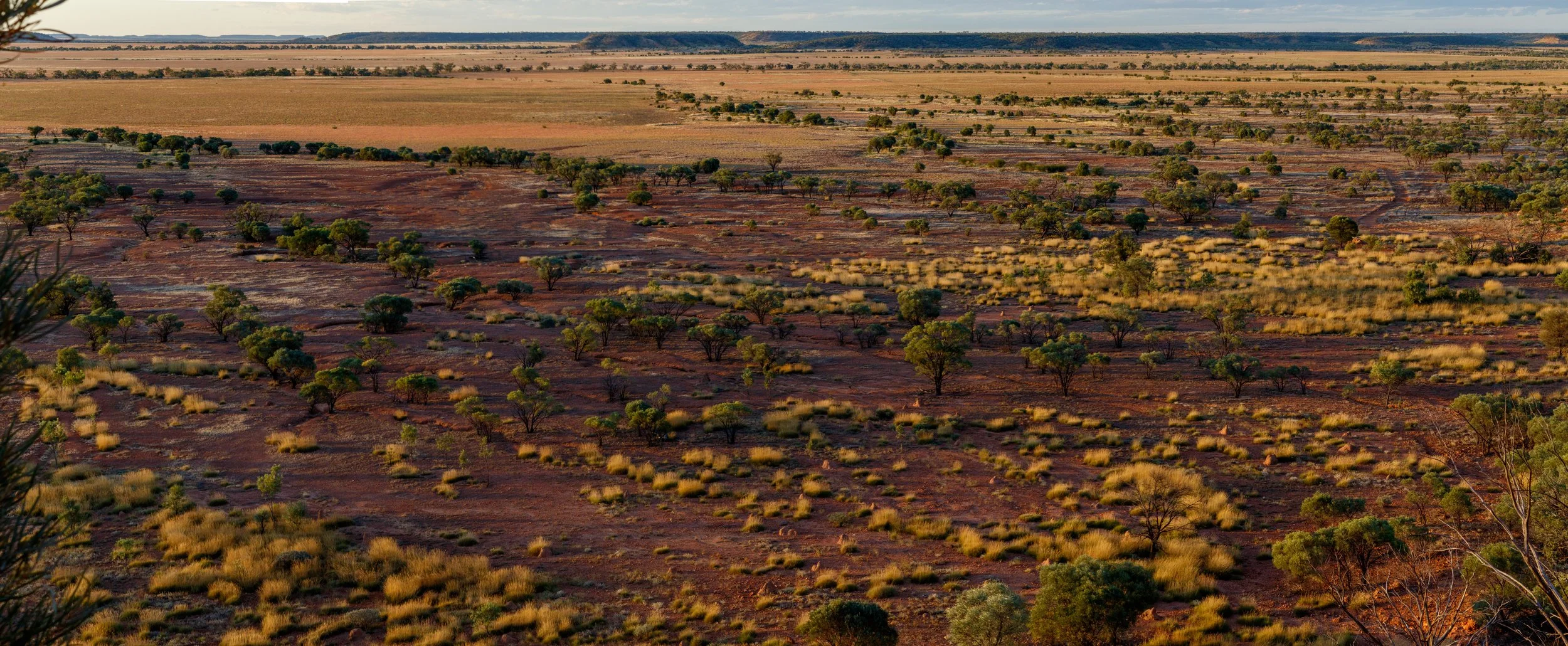 South of Winton
