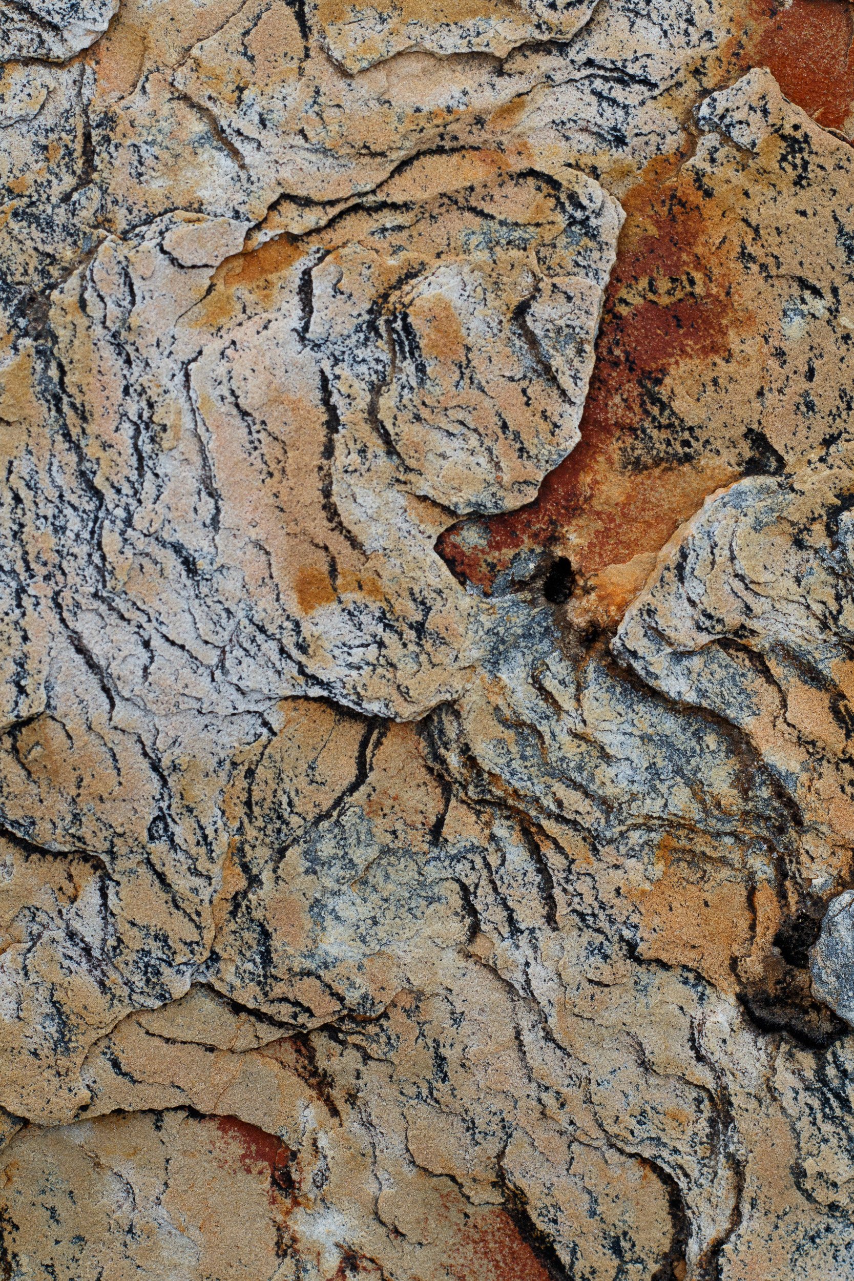 Rock patterns, Southern Ranges, Tasmania.