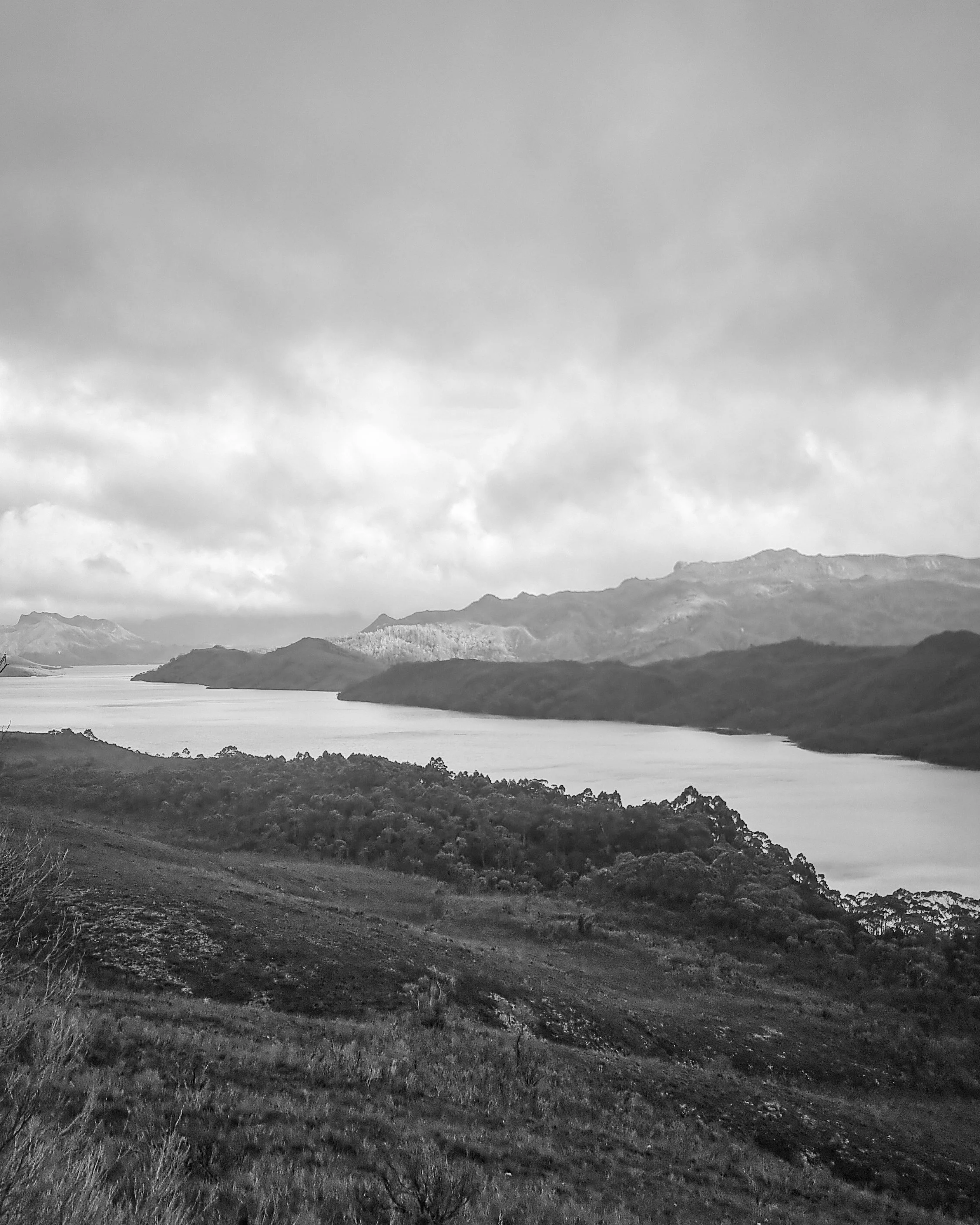 SW Tassie