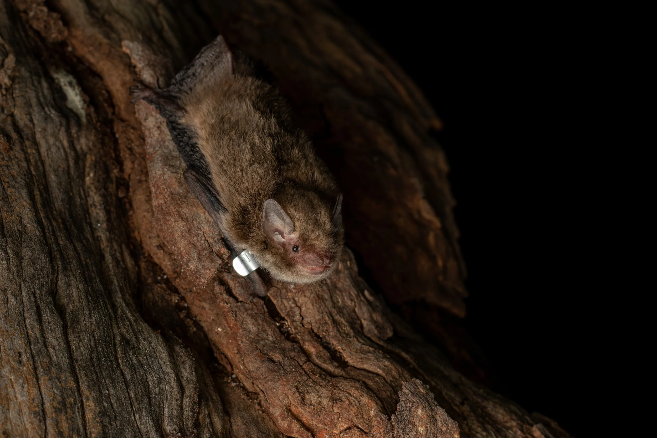 Murray Kelman Photography - image-131.jpg