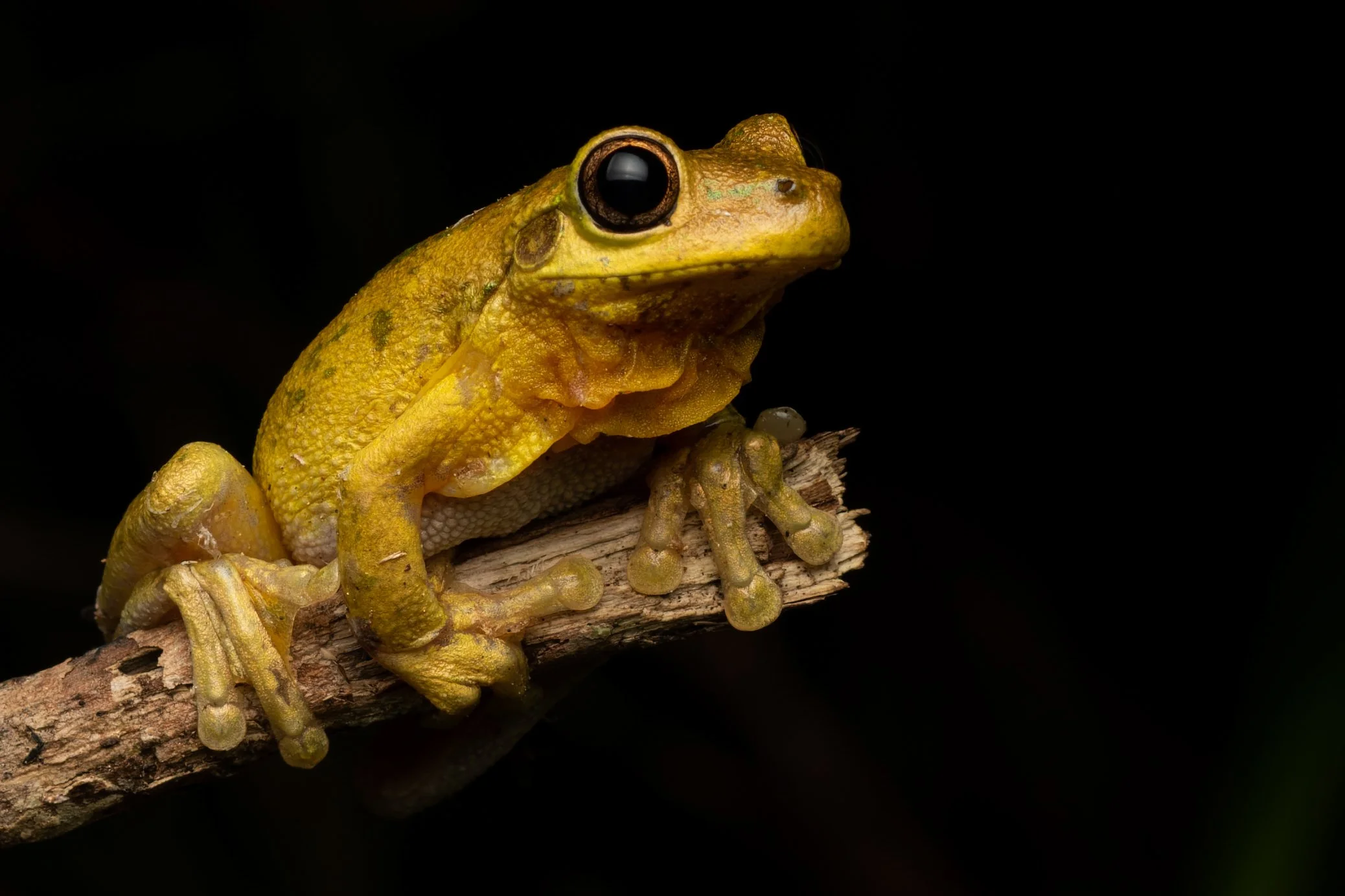 Murray Kelman Photography - image-132.jpg