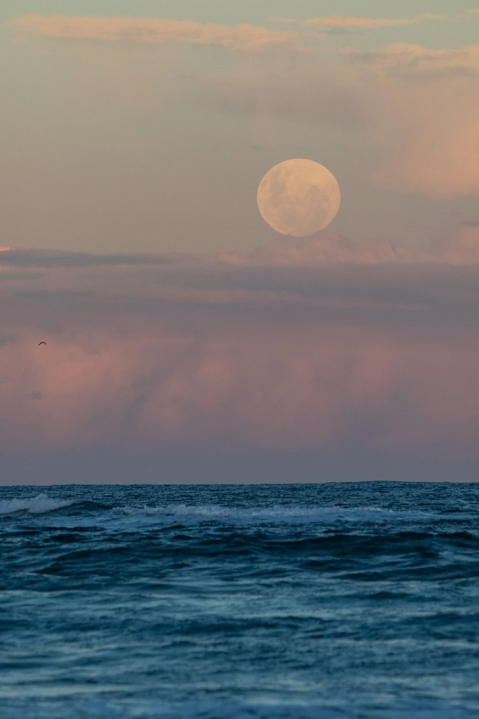 Moonrise, Yuraygir National Park, New South Wales.