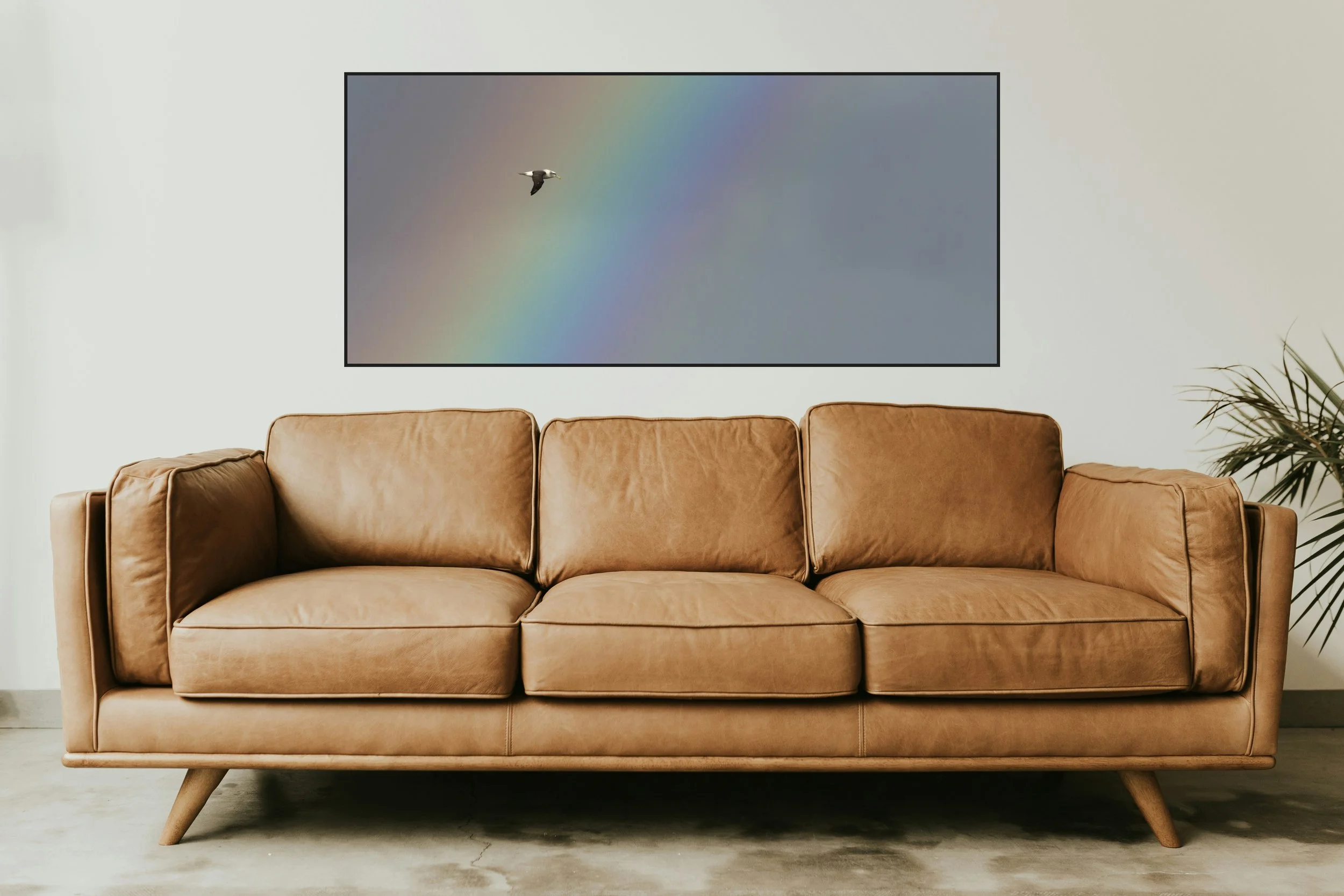 Rainbow Albatross limited-edition print hanging above a leather sofa