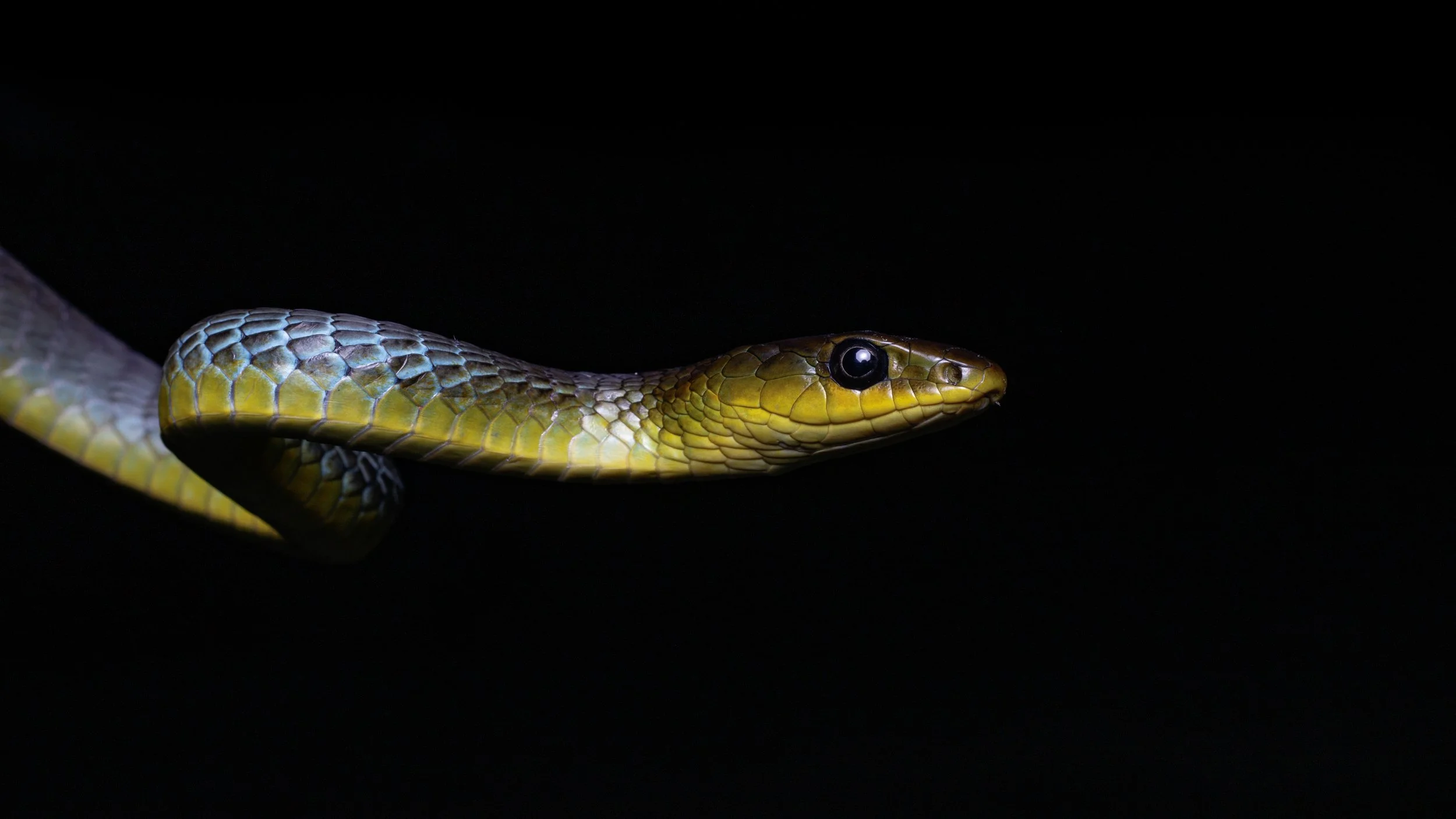 Murray Kelman Photography - image-71.jpg