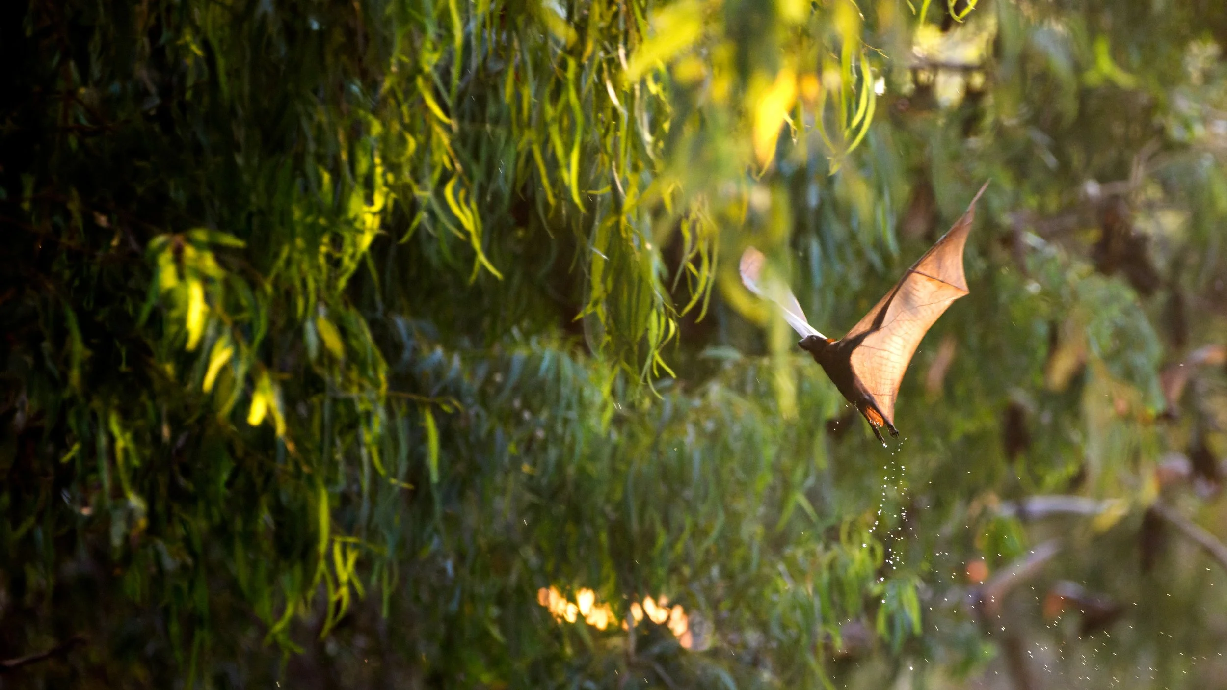 Murray Kelman Photography - image-77.jpg