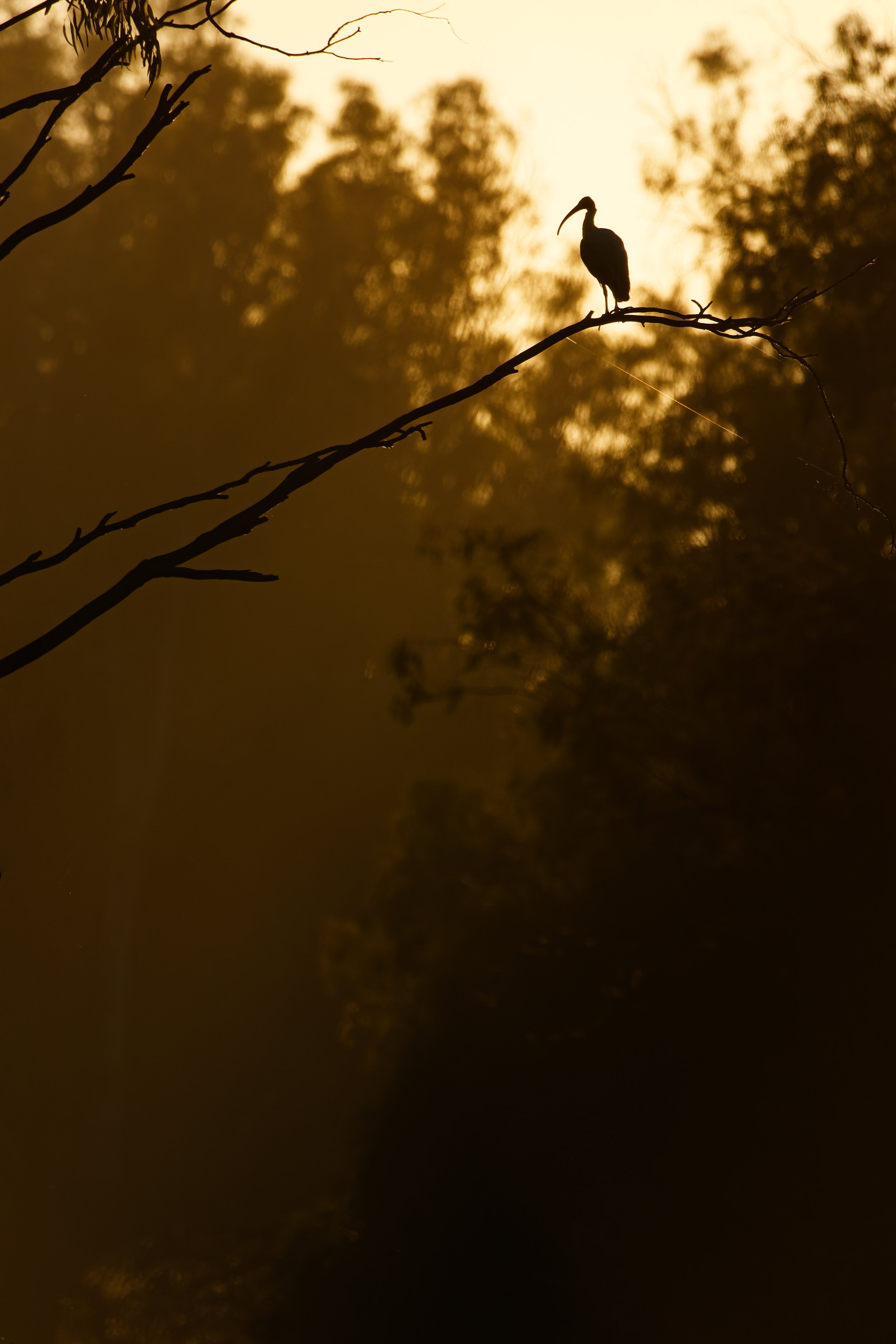 Murray Kelman Photography - image-119.jpg