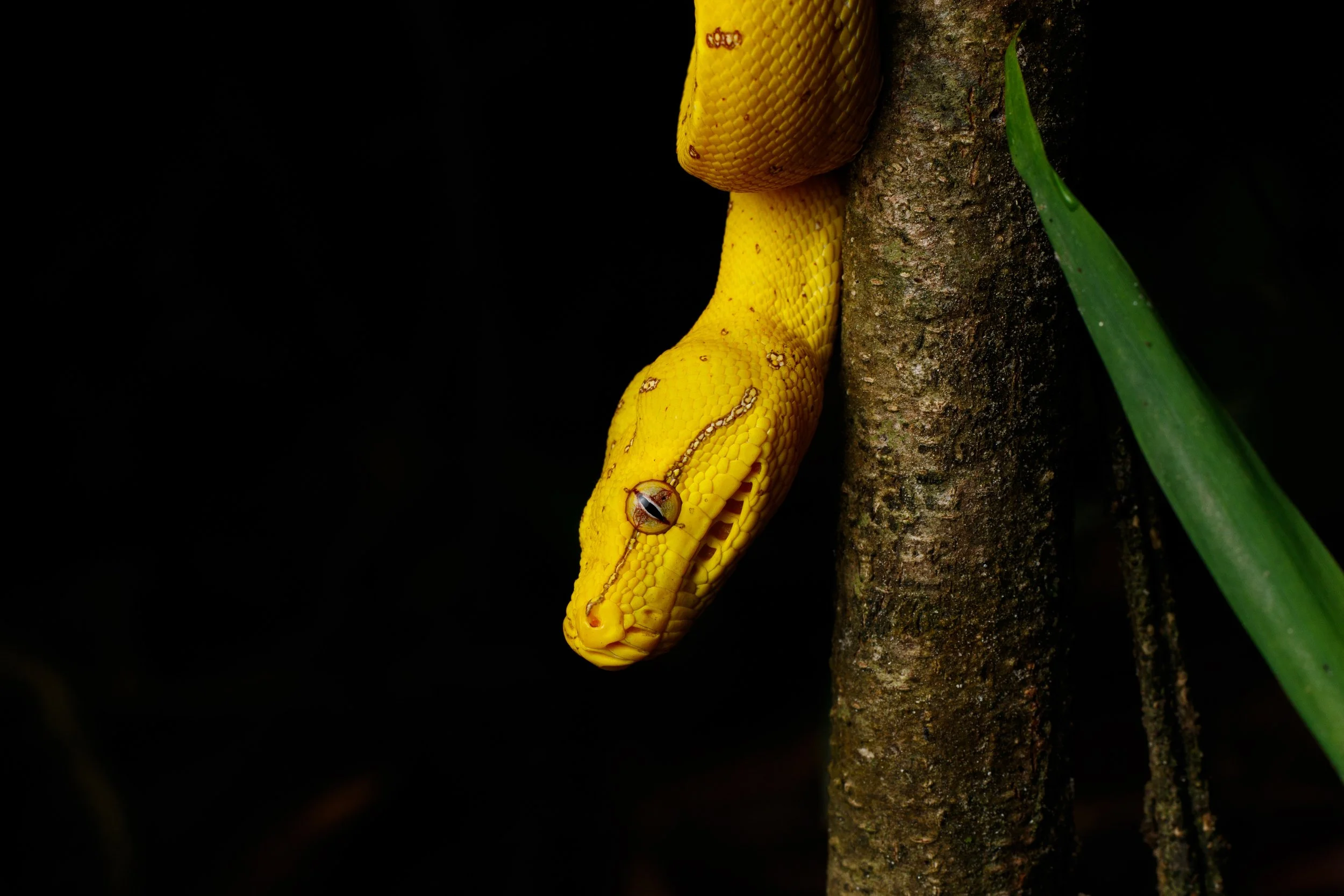 Murray Kelman Photography - image-38.jpg