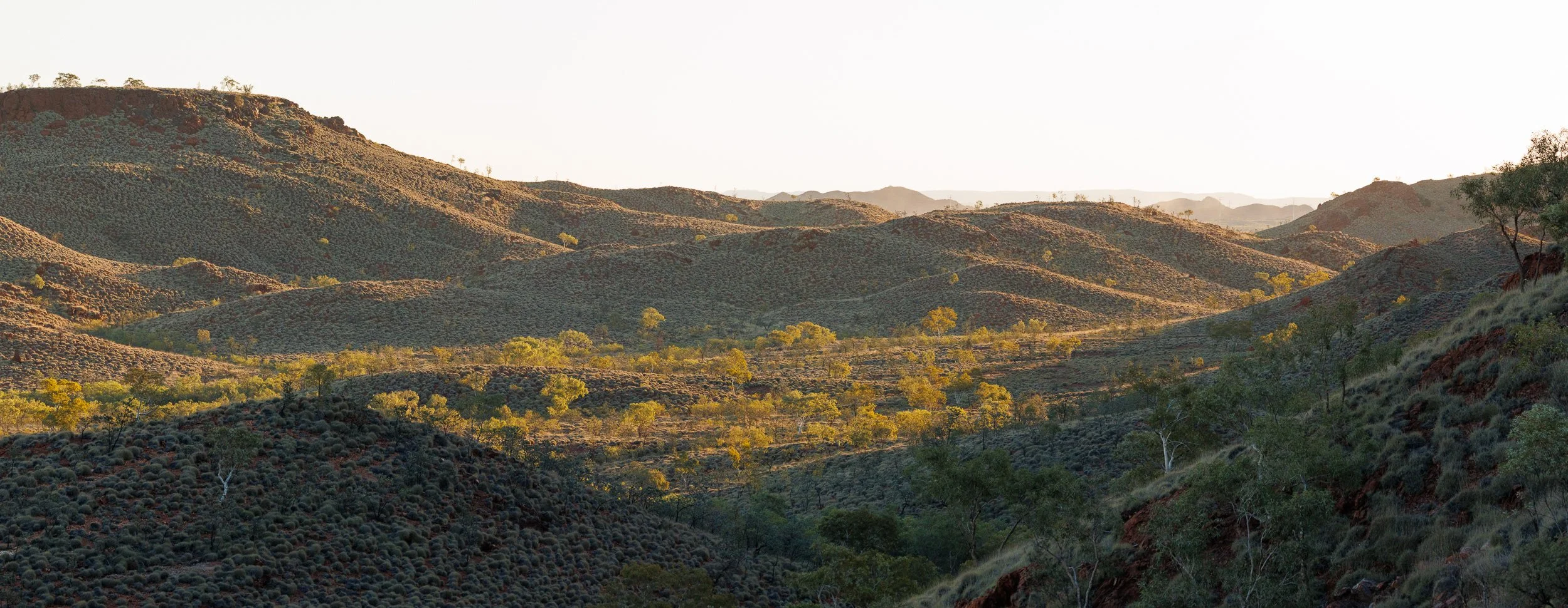 Red hills in late light.
