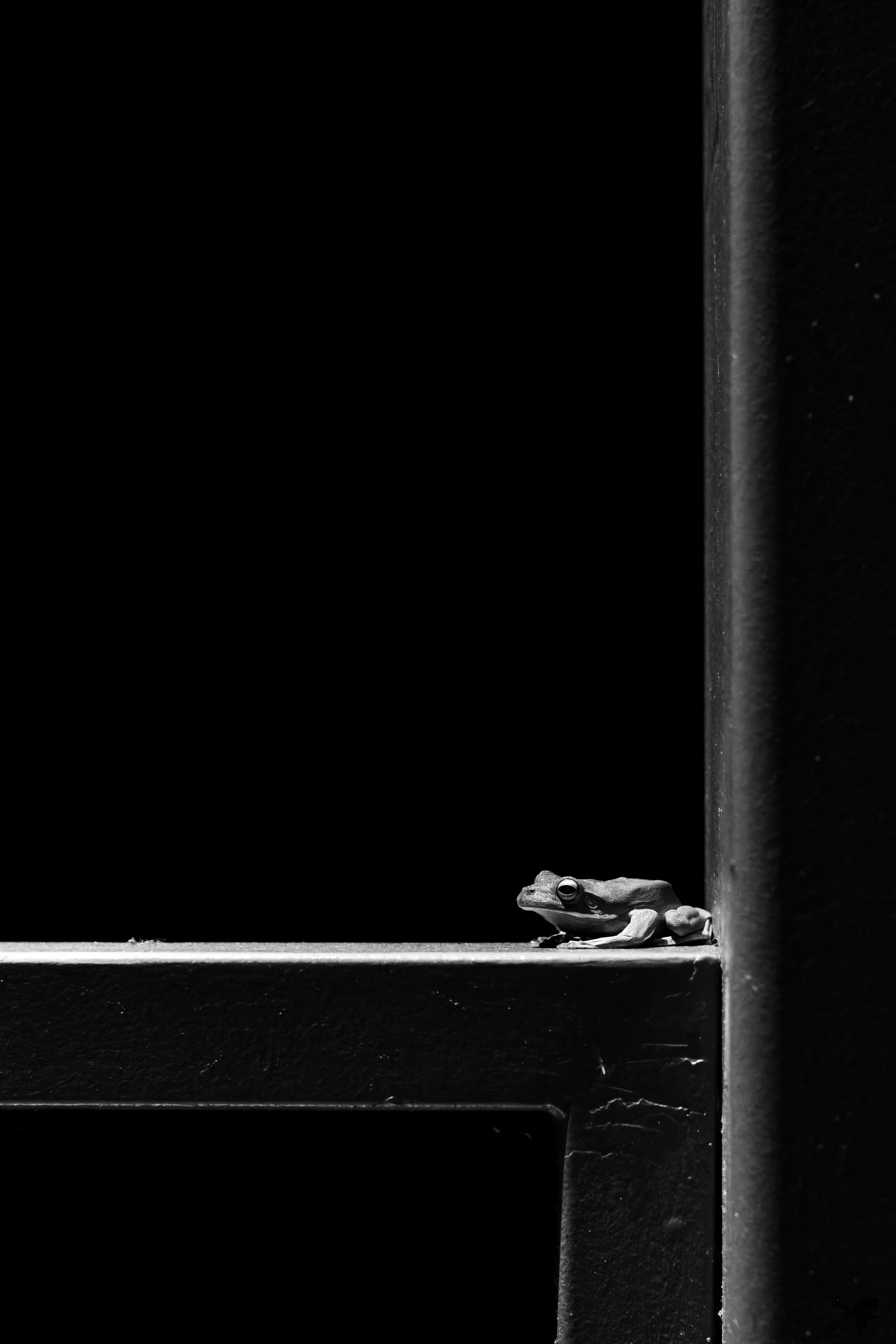 Murray Kelman Photography - image-57.jpg
