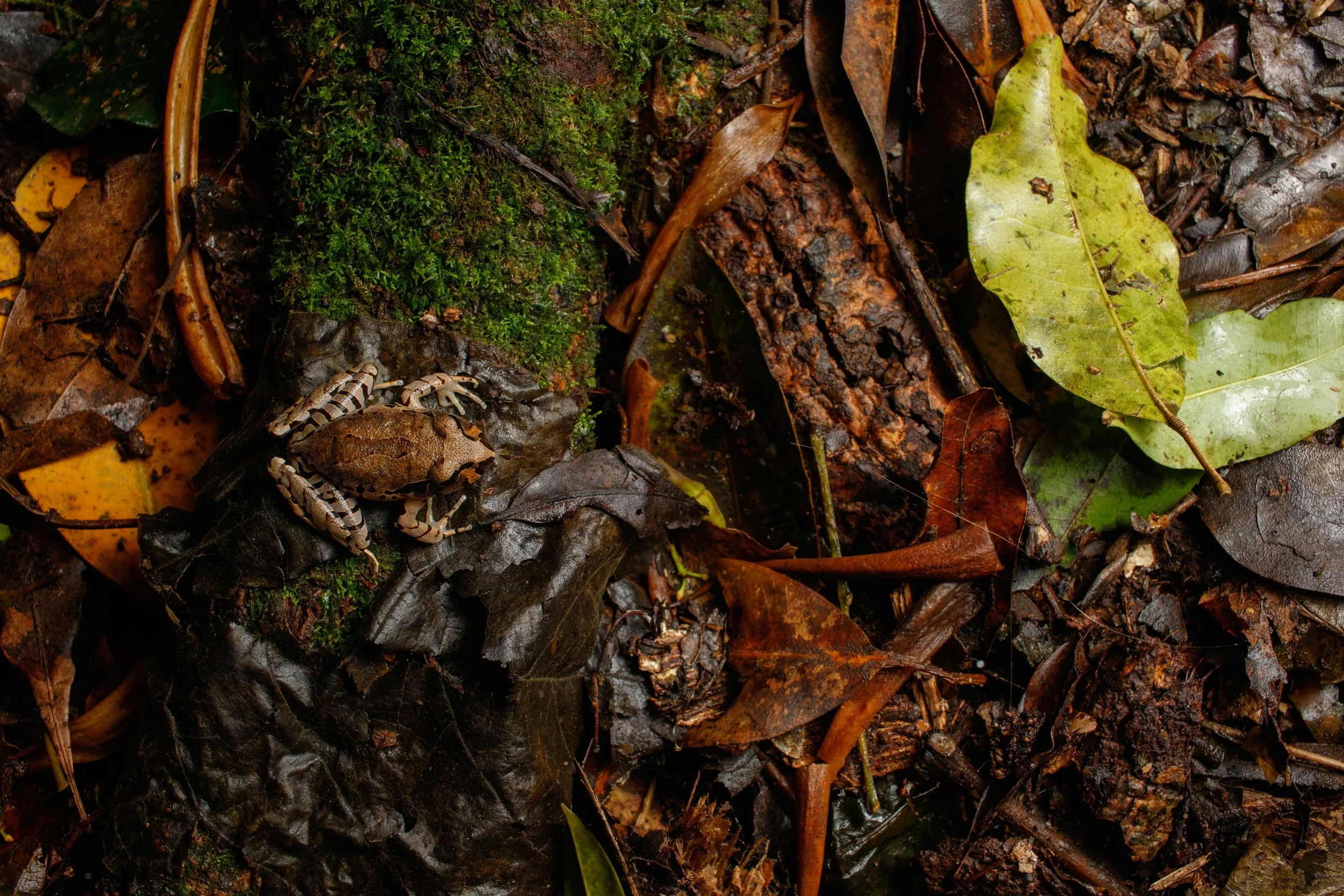 Murray Kelman Photography - image-63.jpg