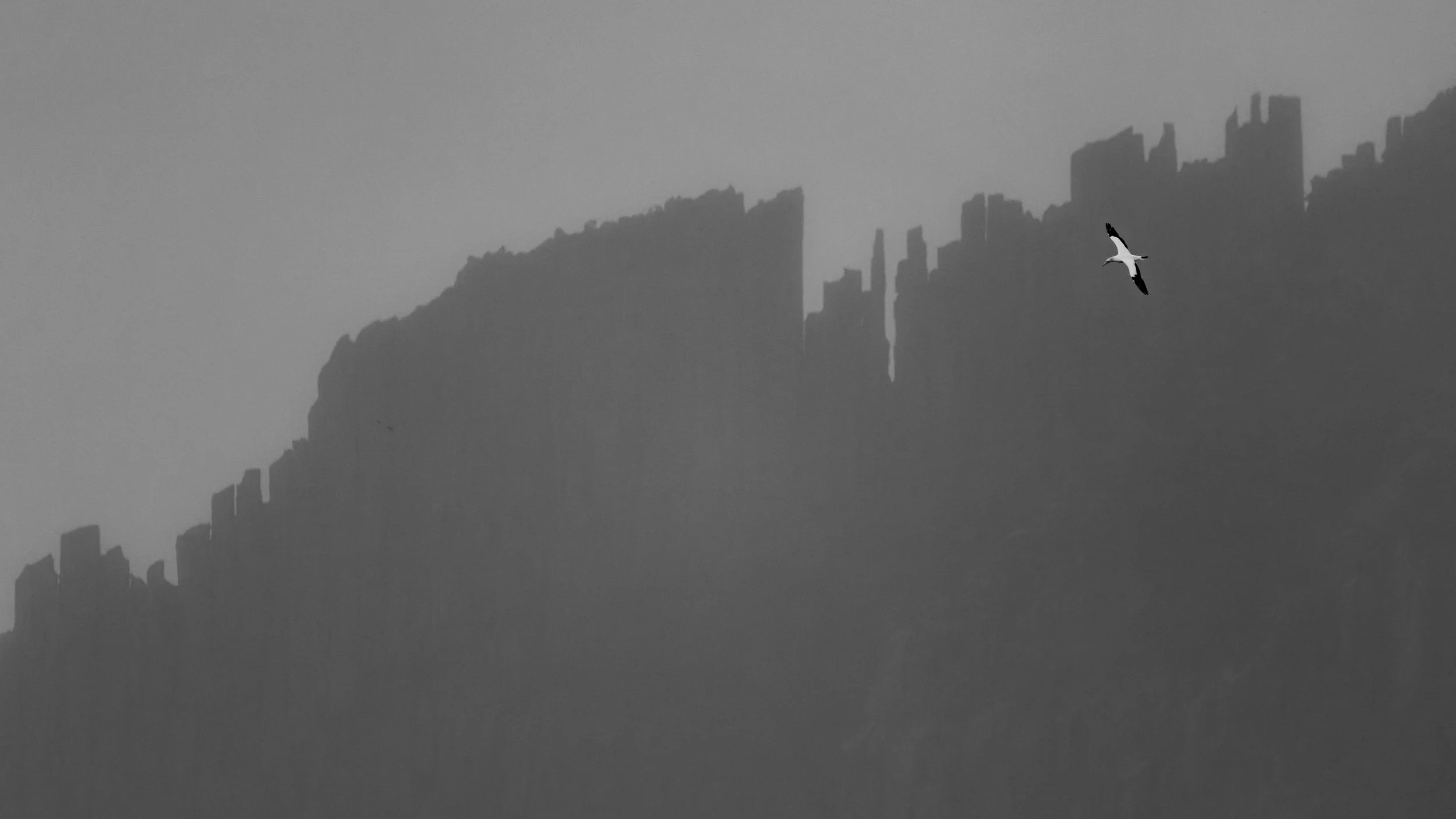 Murray Kelman Photography - image-135.jpg