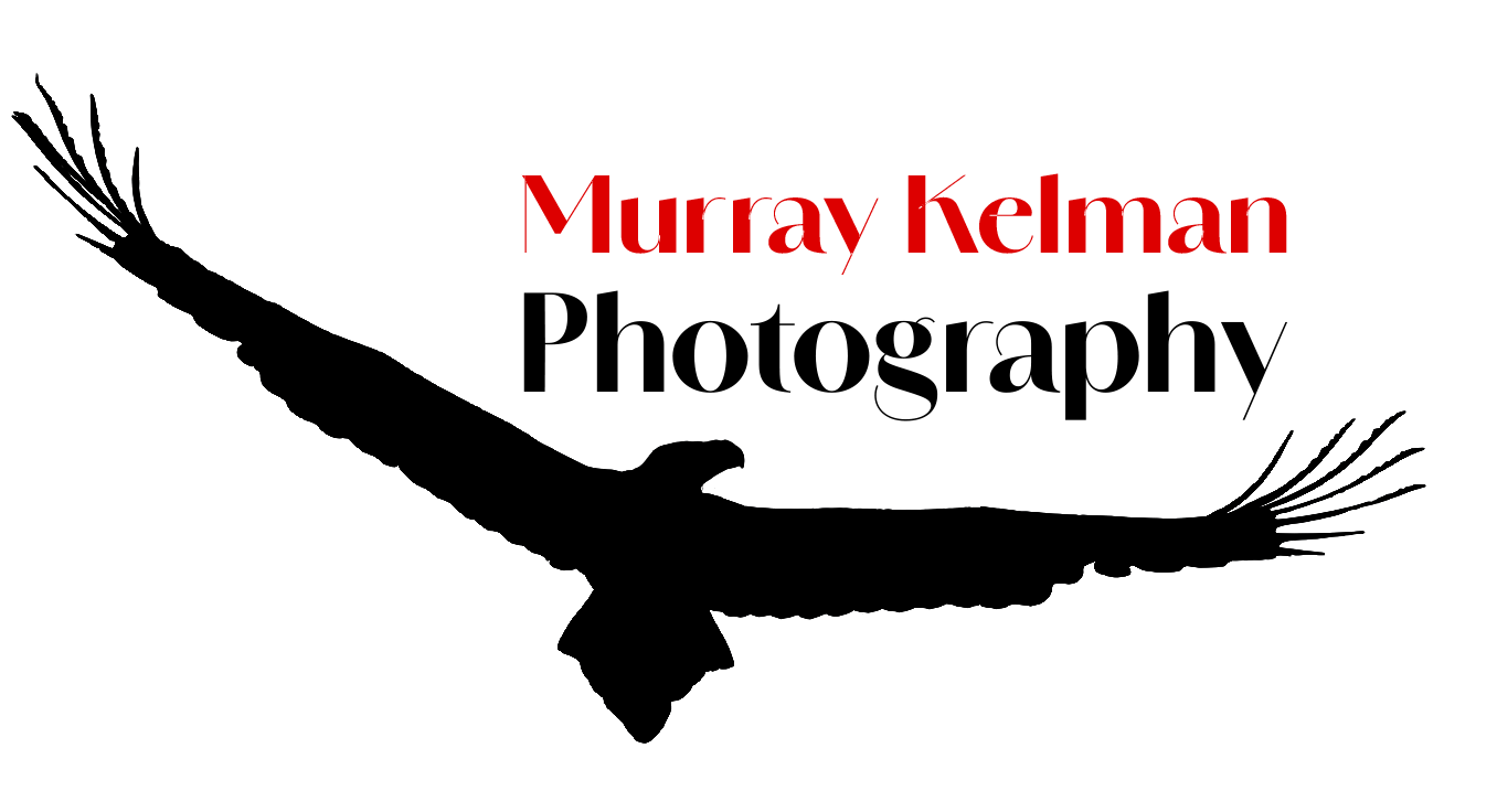 Murray Kelman Photography