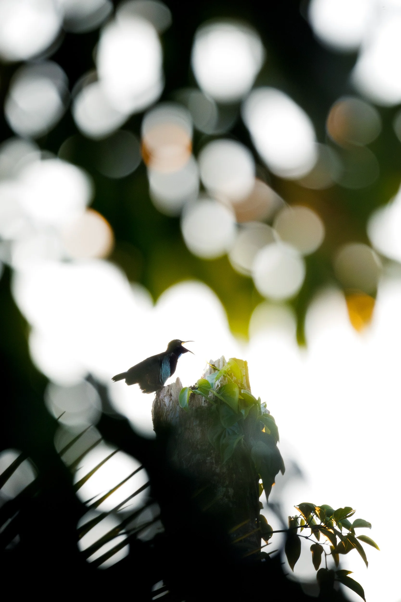 __MJK3771-Edit.jpg
