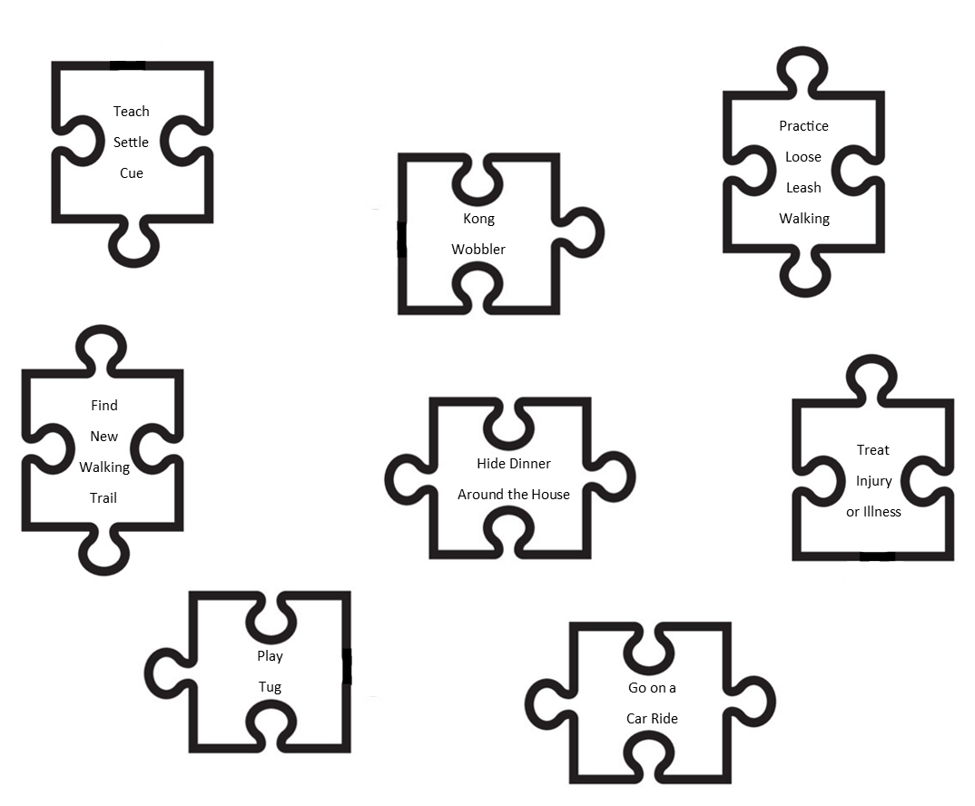 Pieces to the Behavior Puzzle