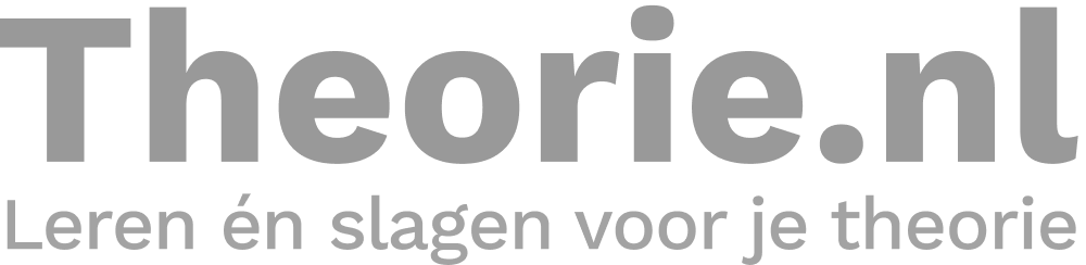 "Theorie.nl" logo