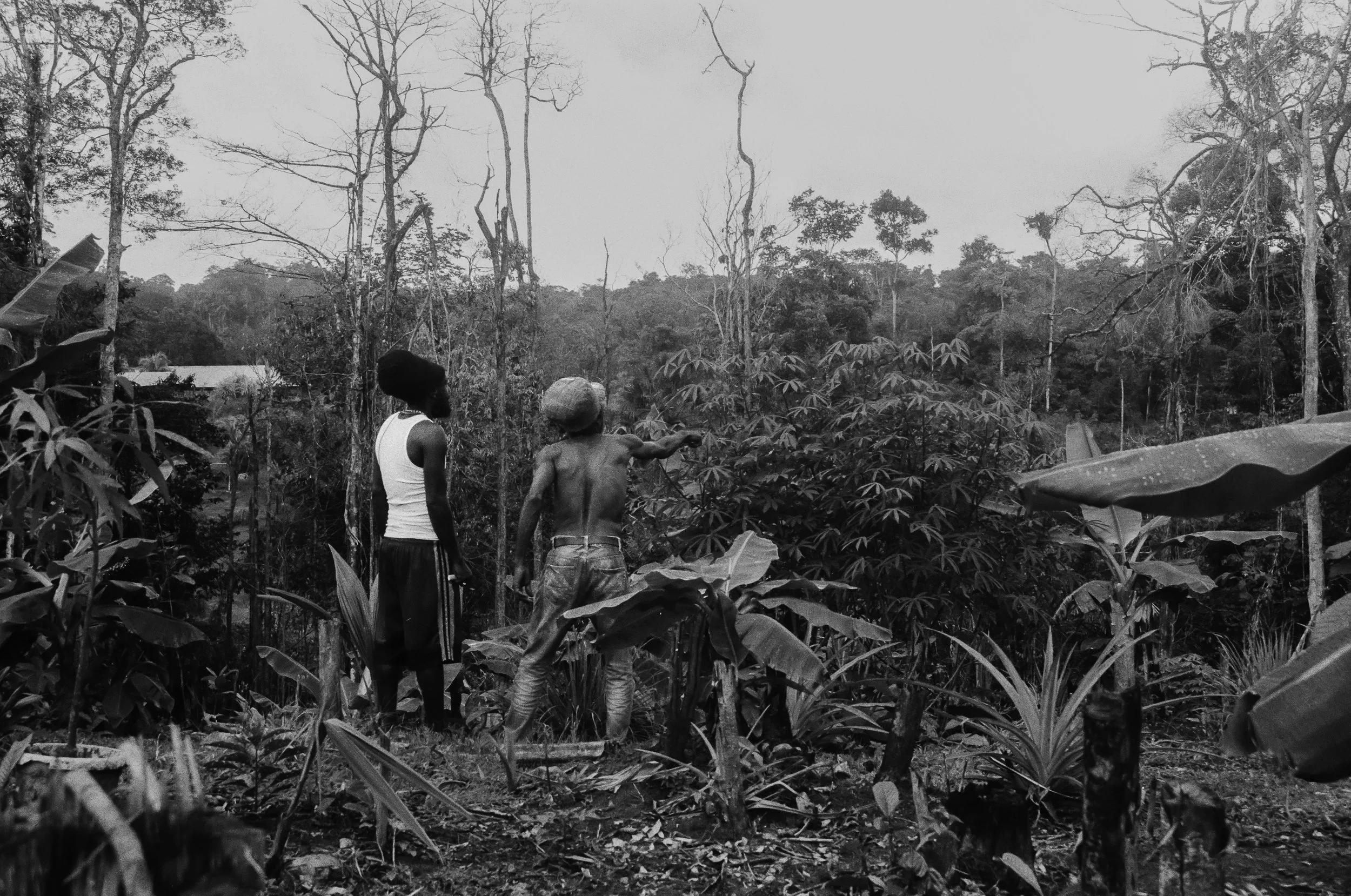 000016630001 GRAND.jpg