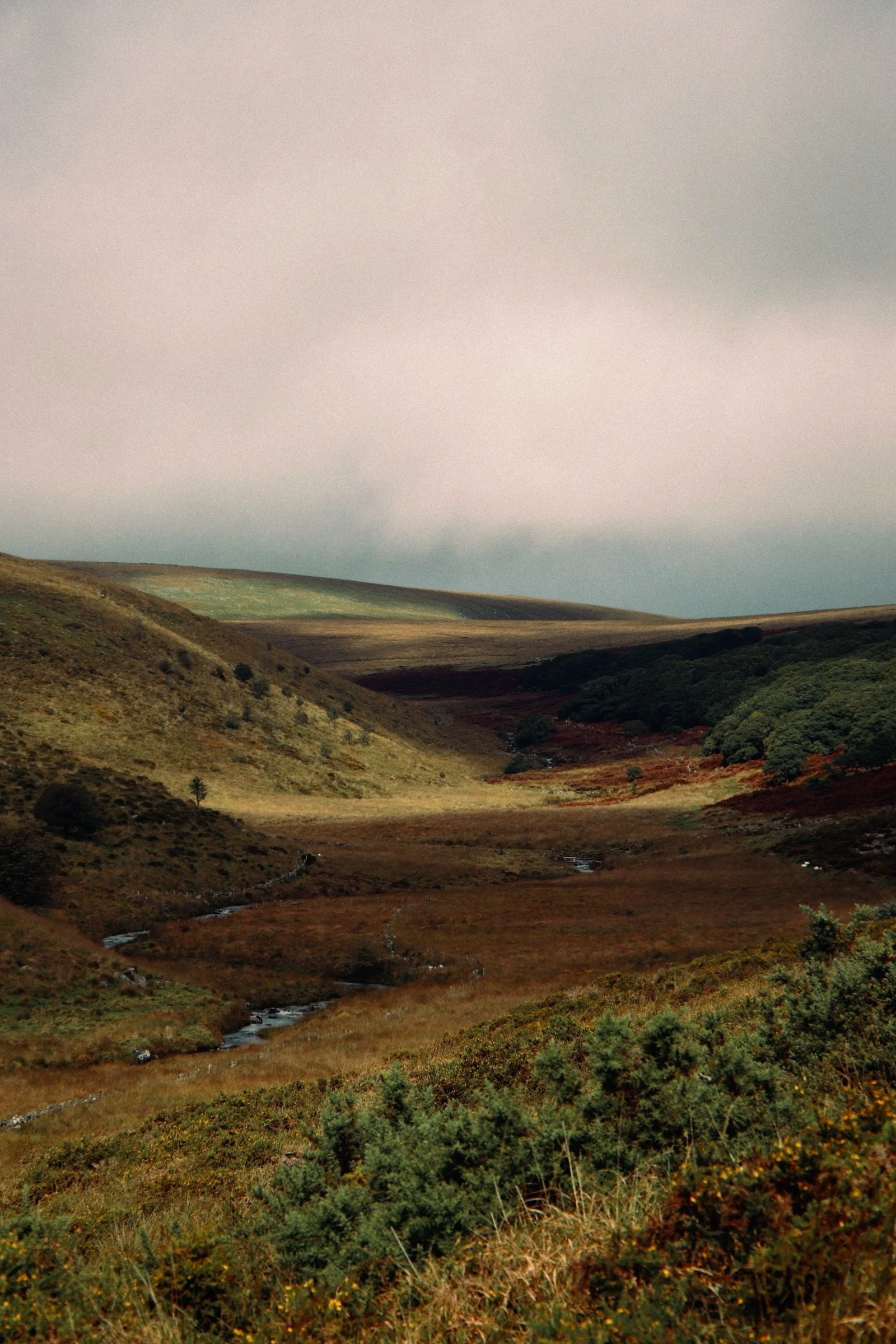 IMG_9268_polarr.JPEG