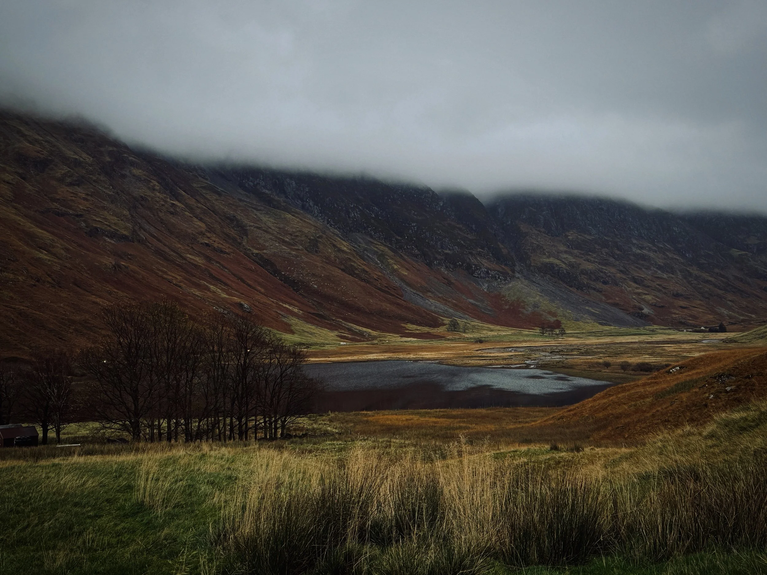 IMG_3001_polarr.JPEG