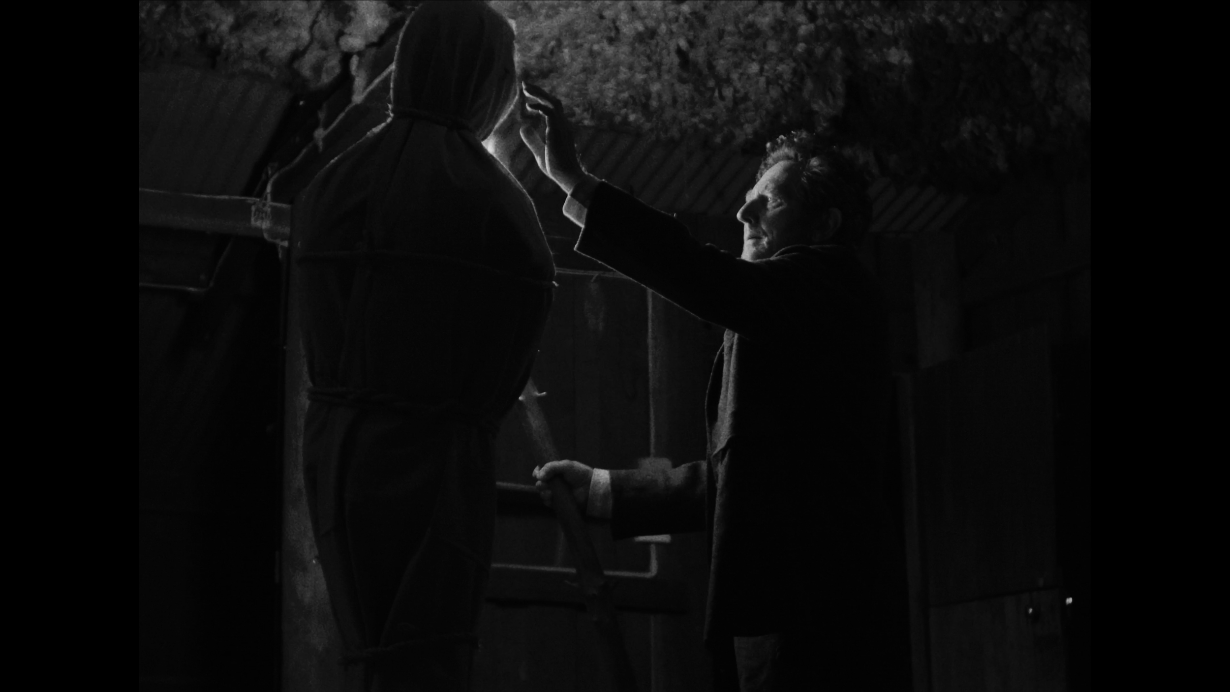 UPDATED WEBSITE GIF ANTQIUITY 2025 3.jpg