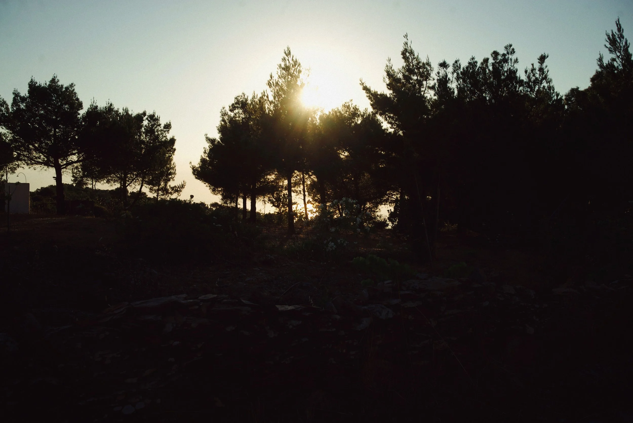 IMG_0746_polarr.JPEG