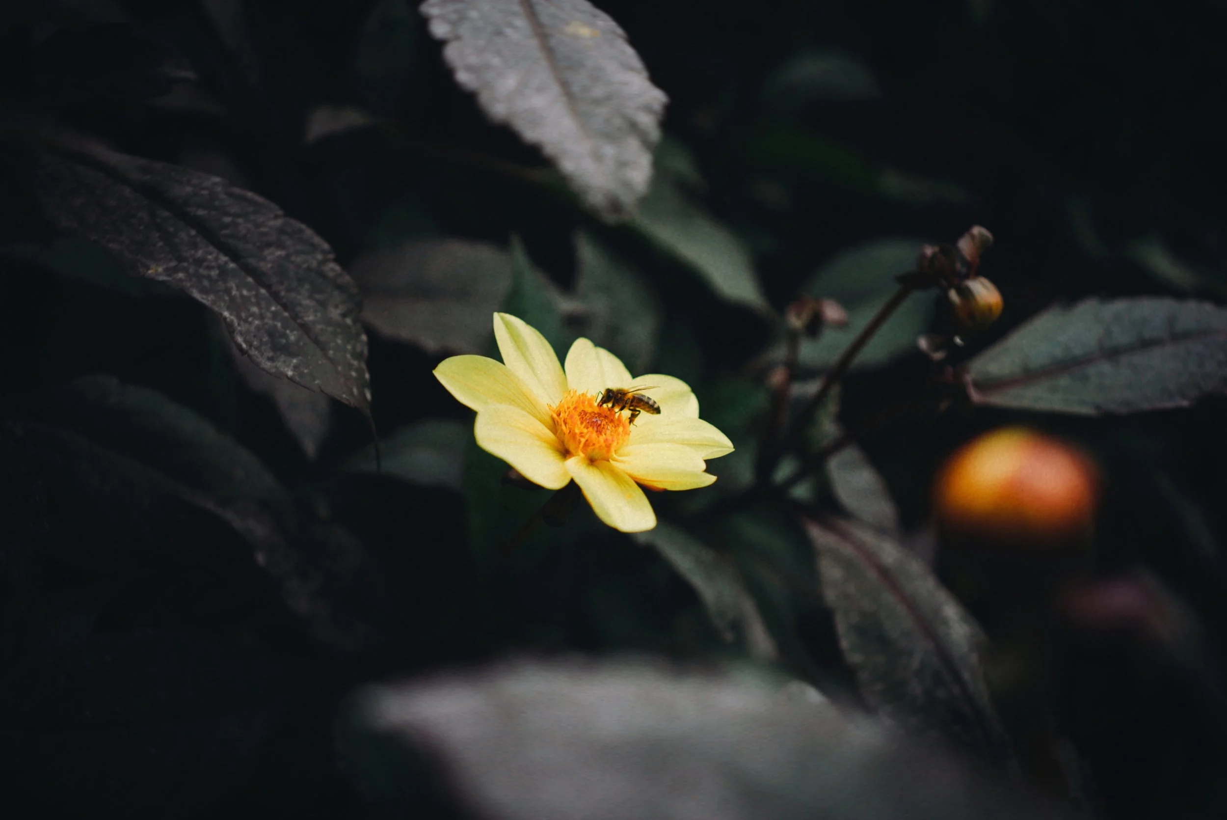 IMG_7808_polarr.JPEG