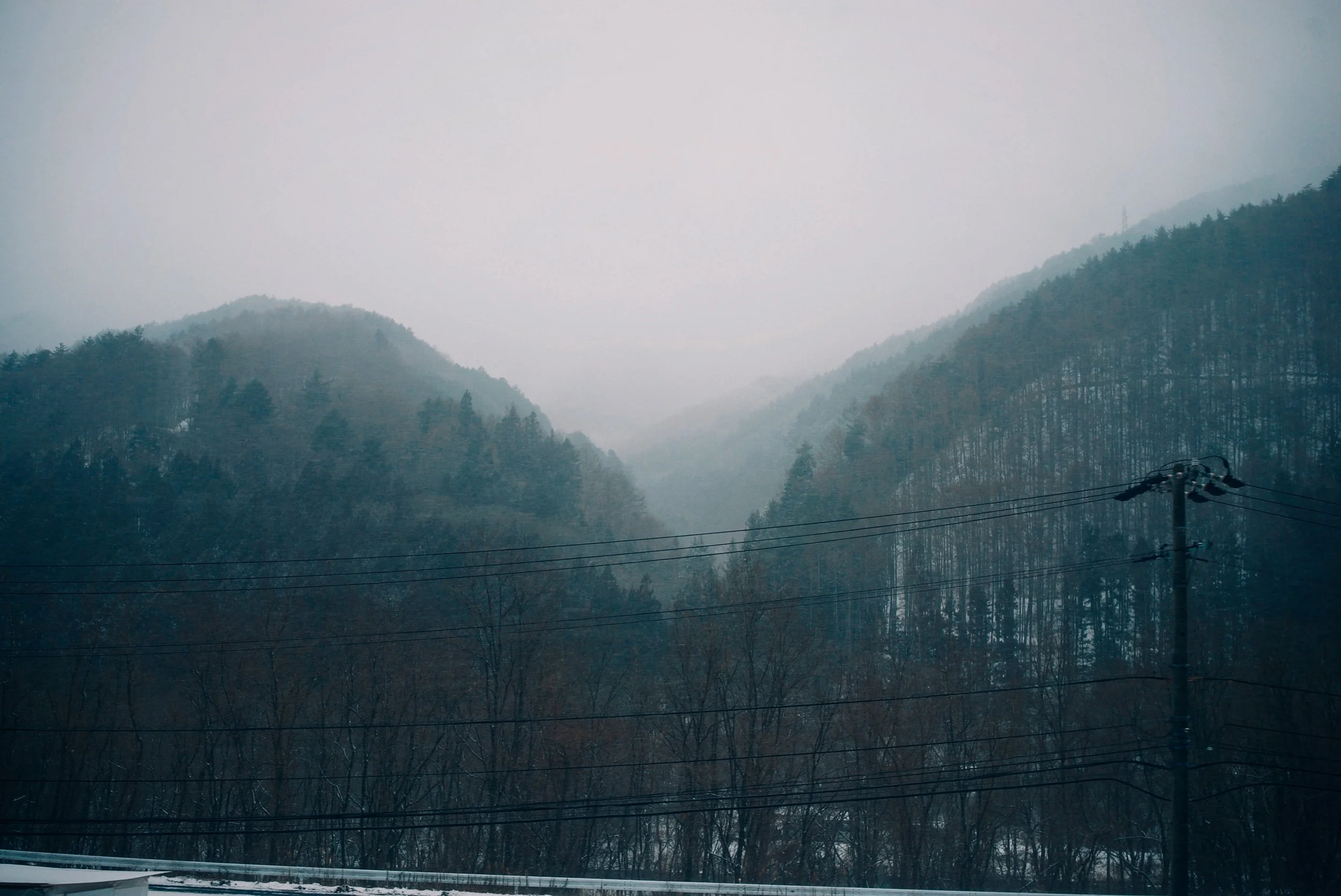 Foggy mountain landscape with trees and power lines in the foreground.