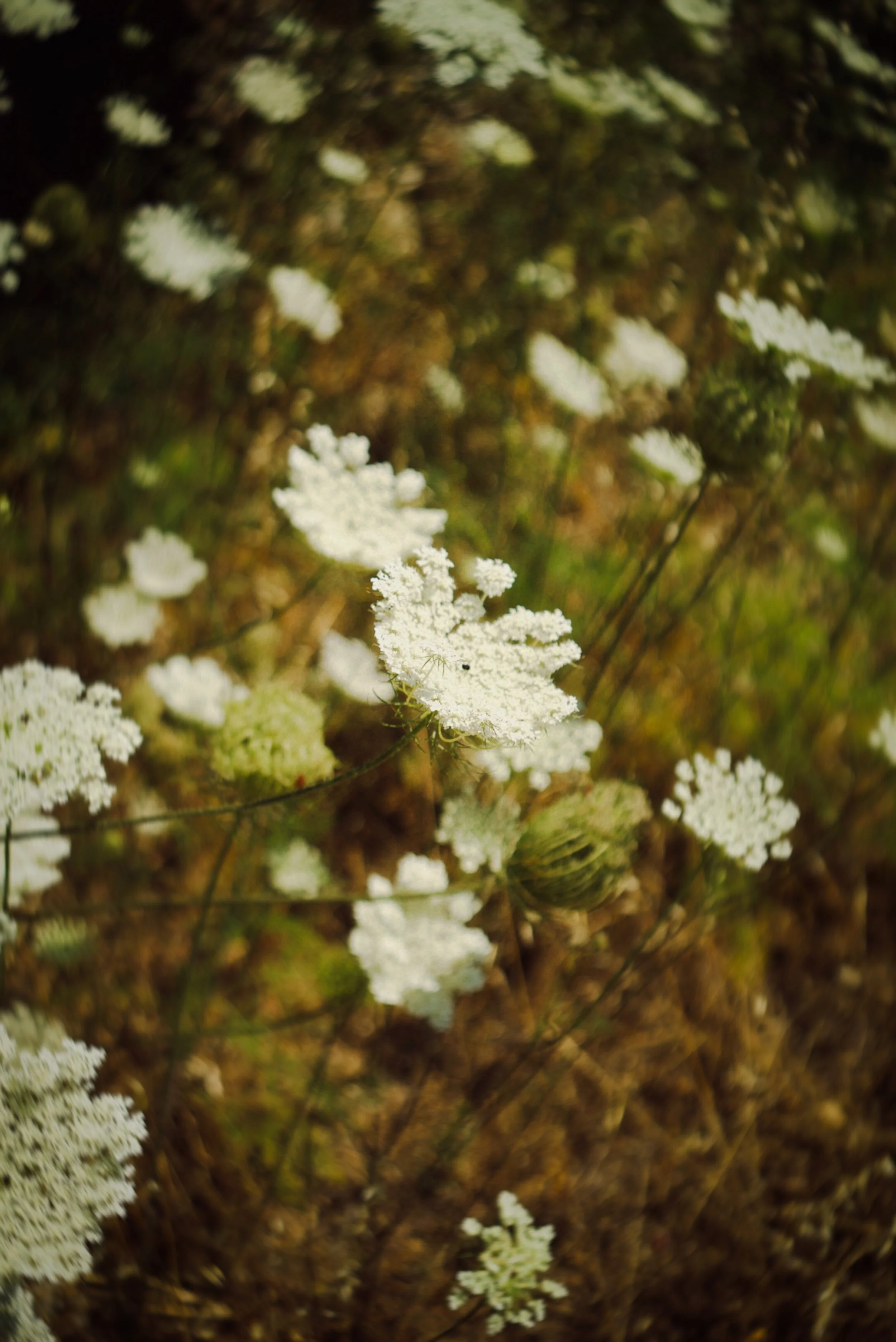 IMG_6427_polarr.JPEG