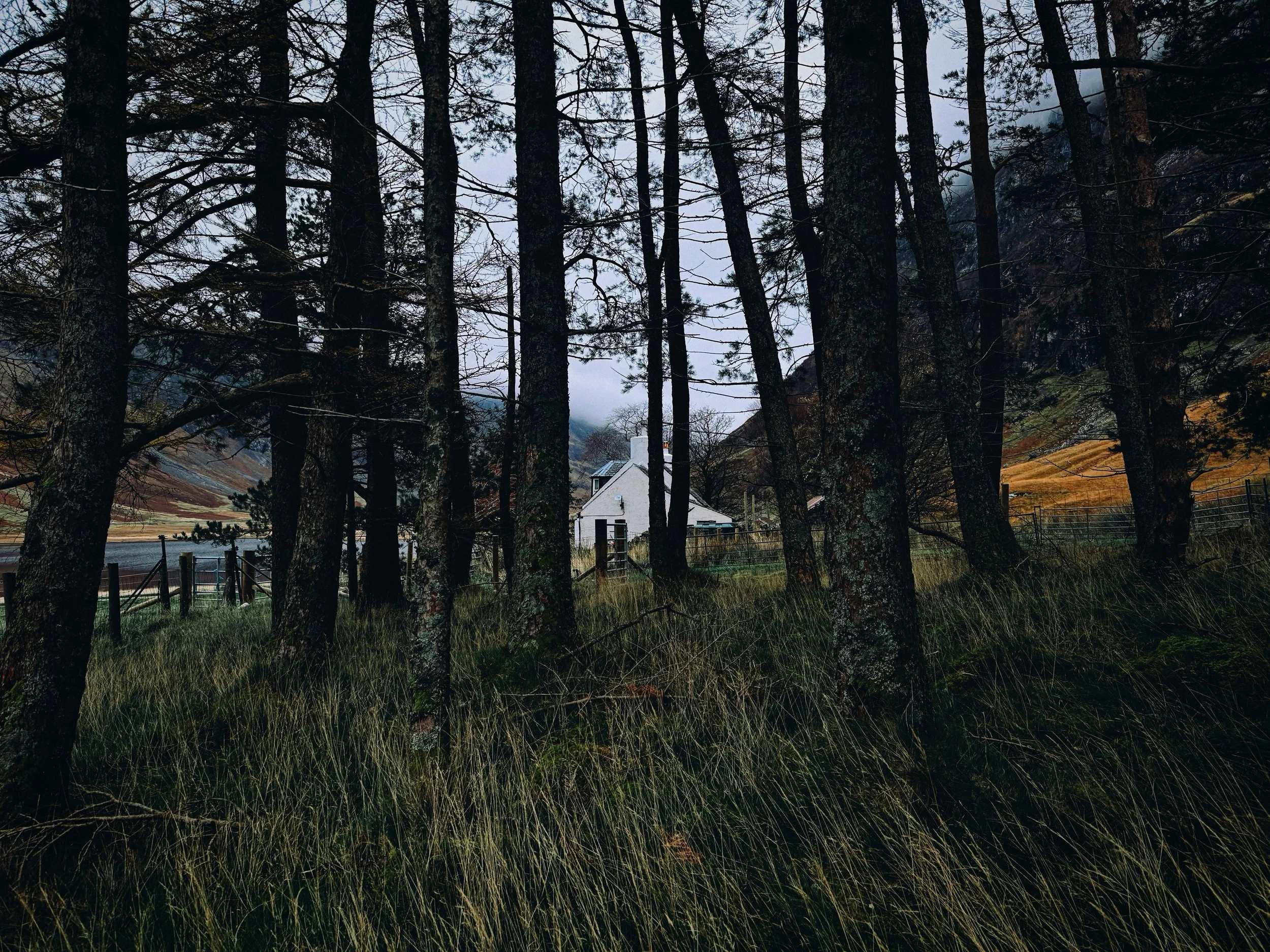 IMG_2436_polarr.JPEG
