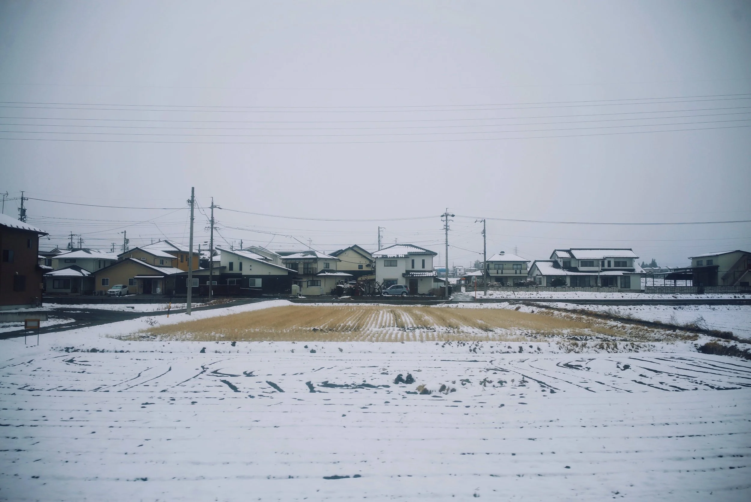 Snow-covered field with a row of houses and utility poles in the background under a cloudy sky.