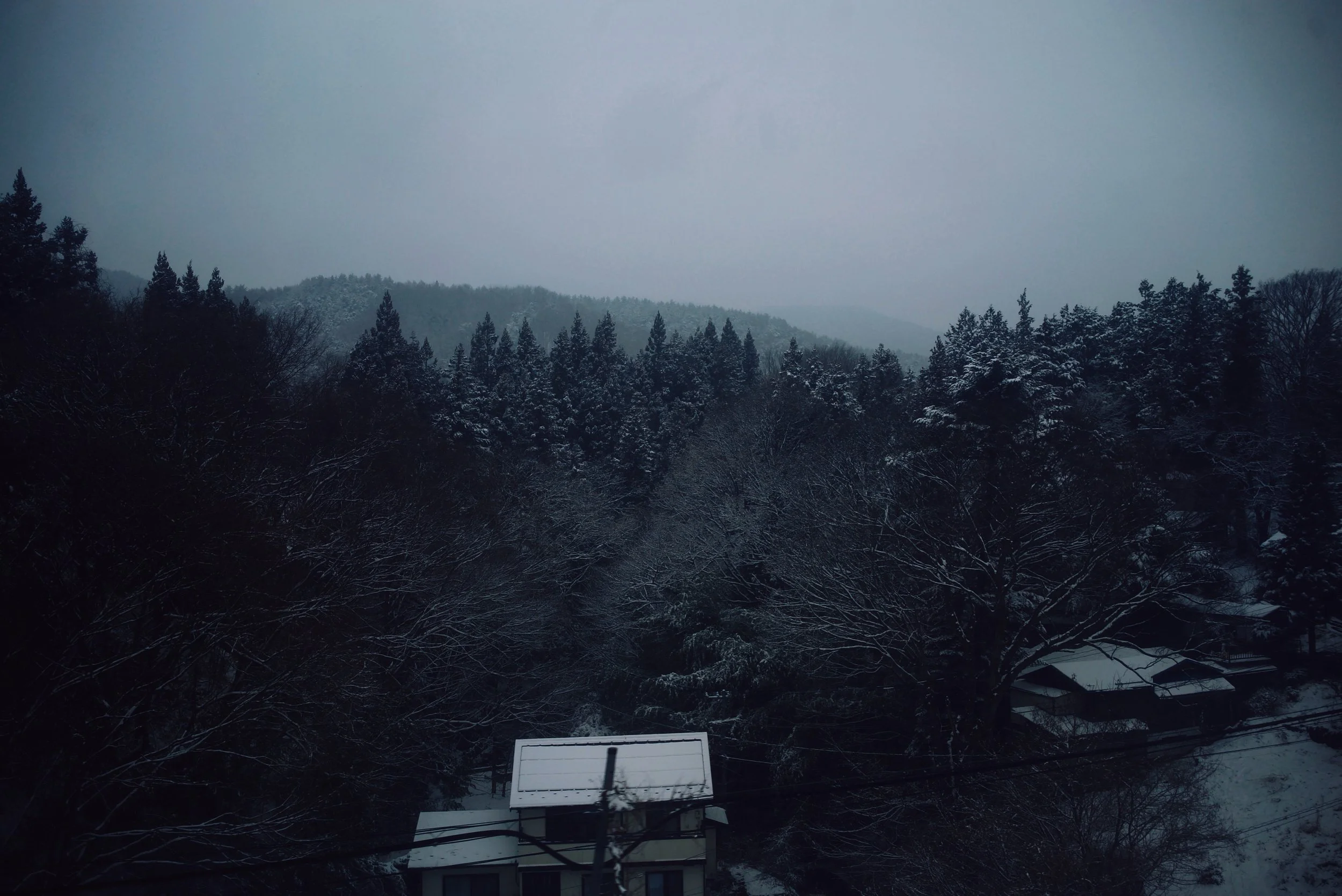 IMG_6918_polarr.JPEG