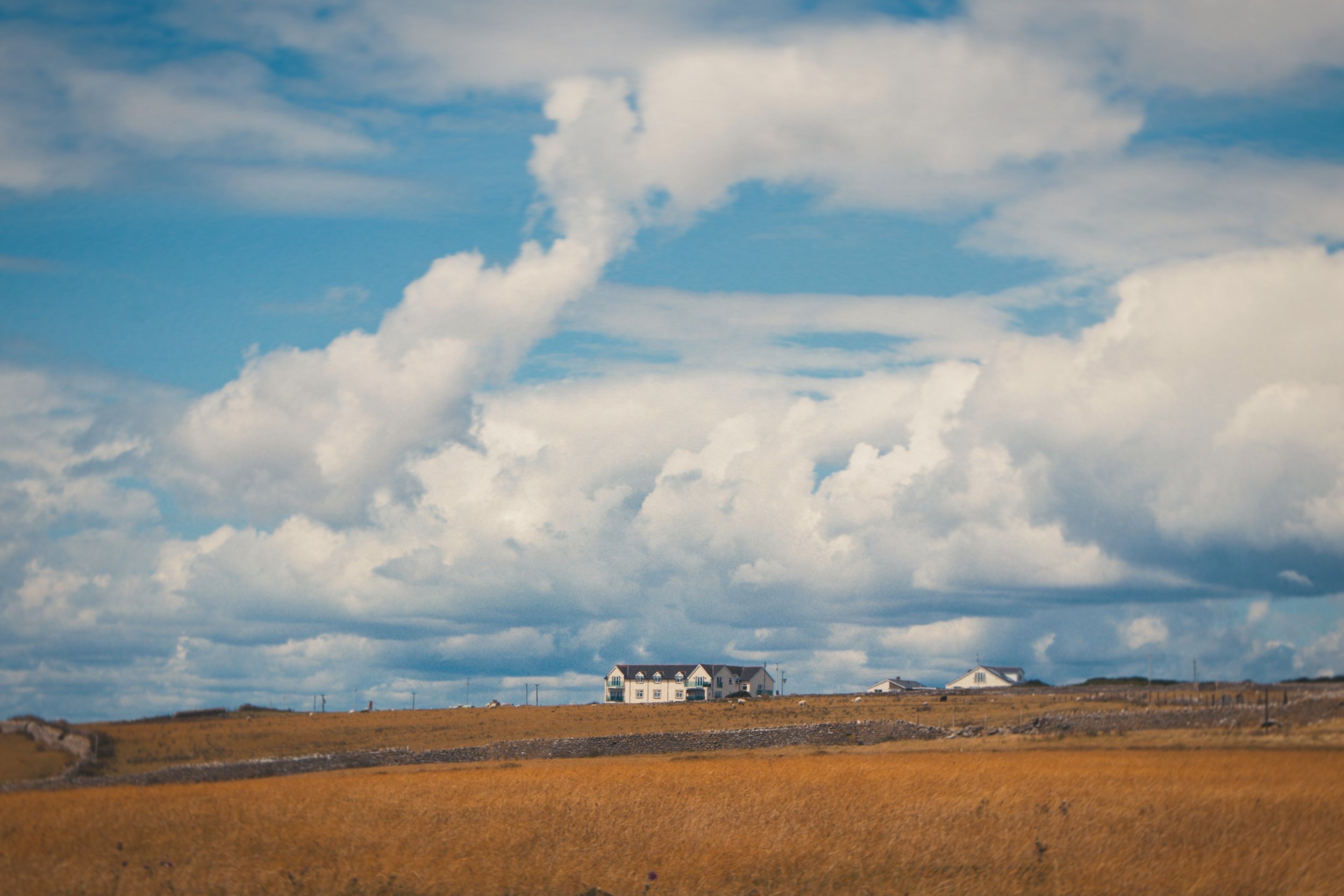 IMG_5181_polarr.JPEG