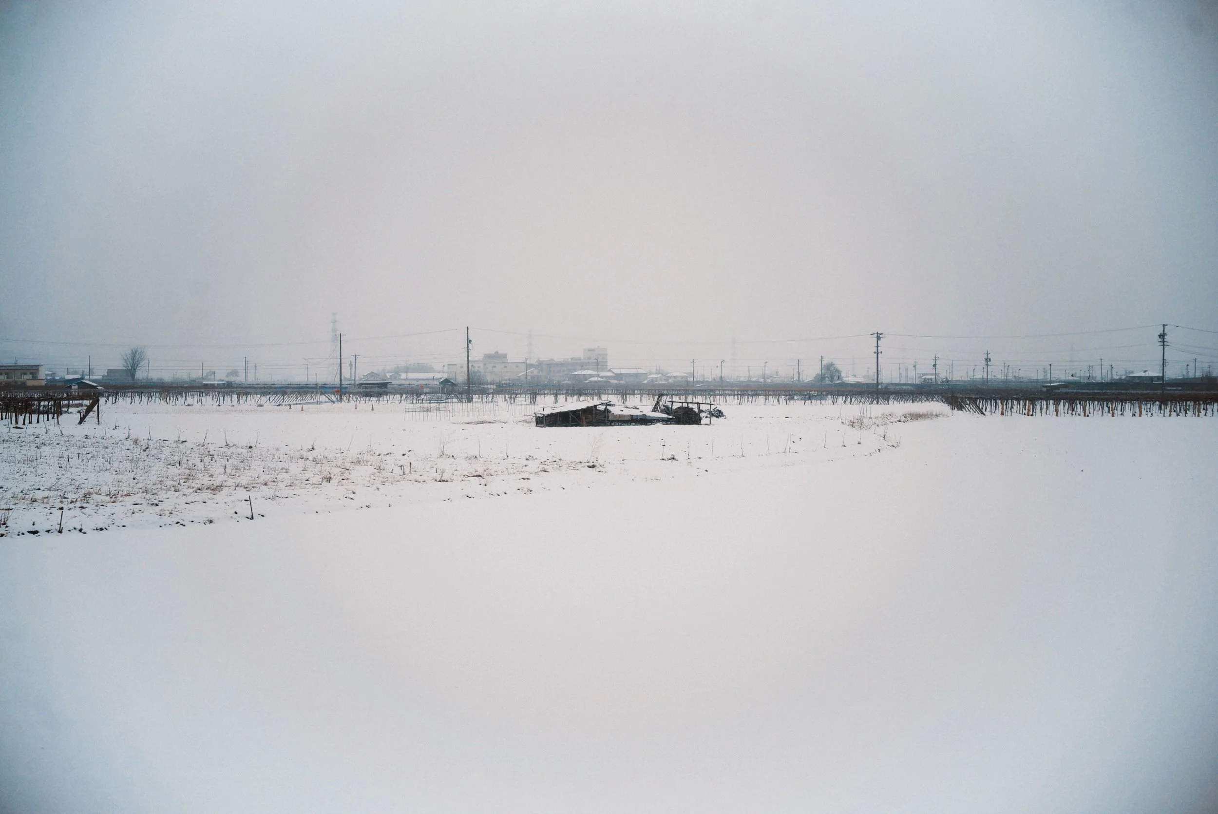 Snow-covered field with sparse vegetation and an abandoned vehicle in the middle, power lines, and distant buildings under a foggy sky.