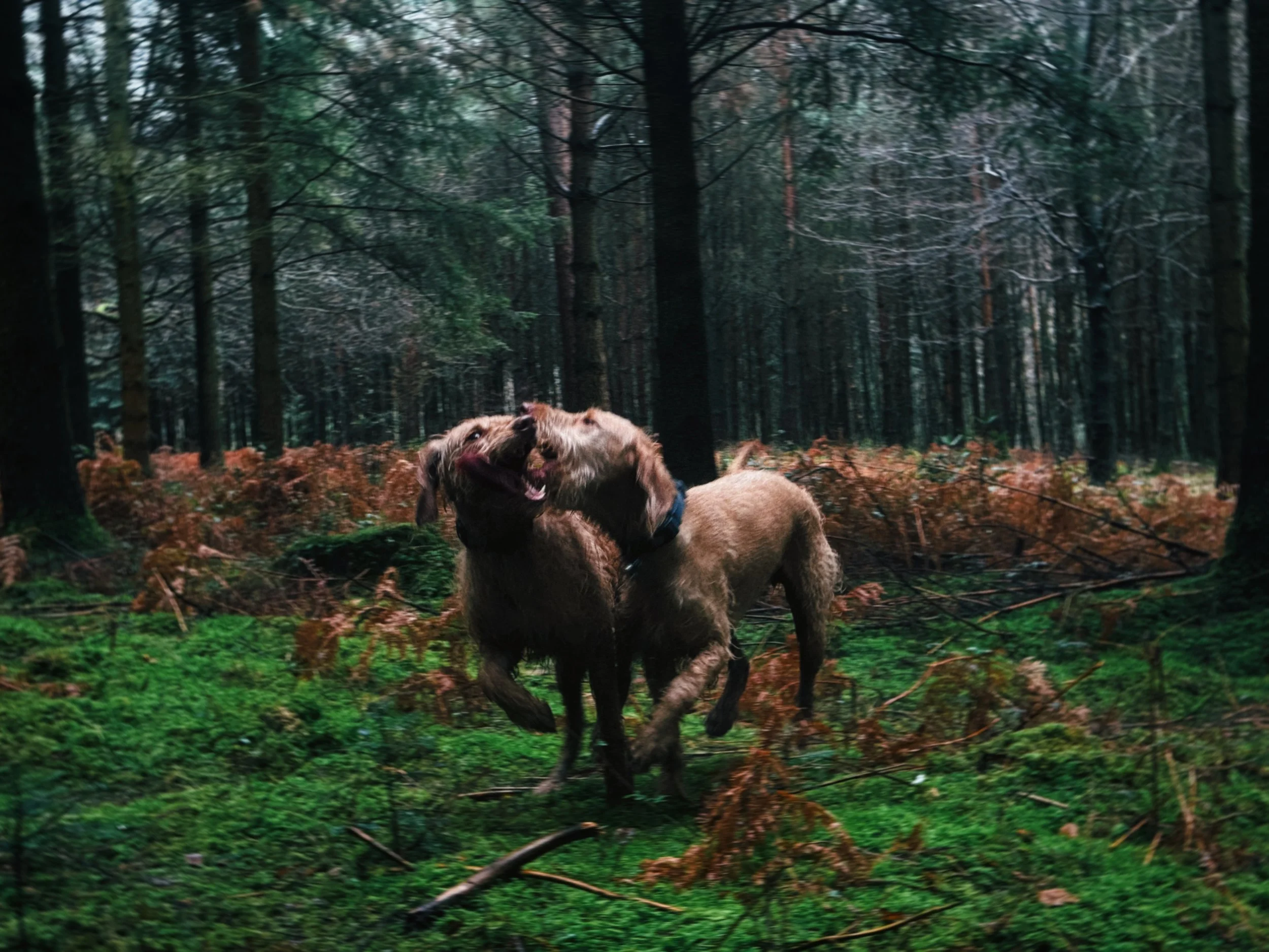 IMG_0916_polarr.JPEG