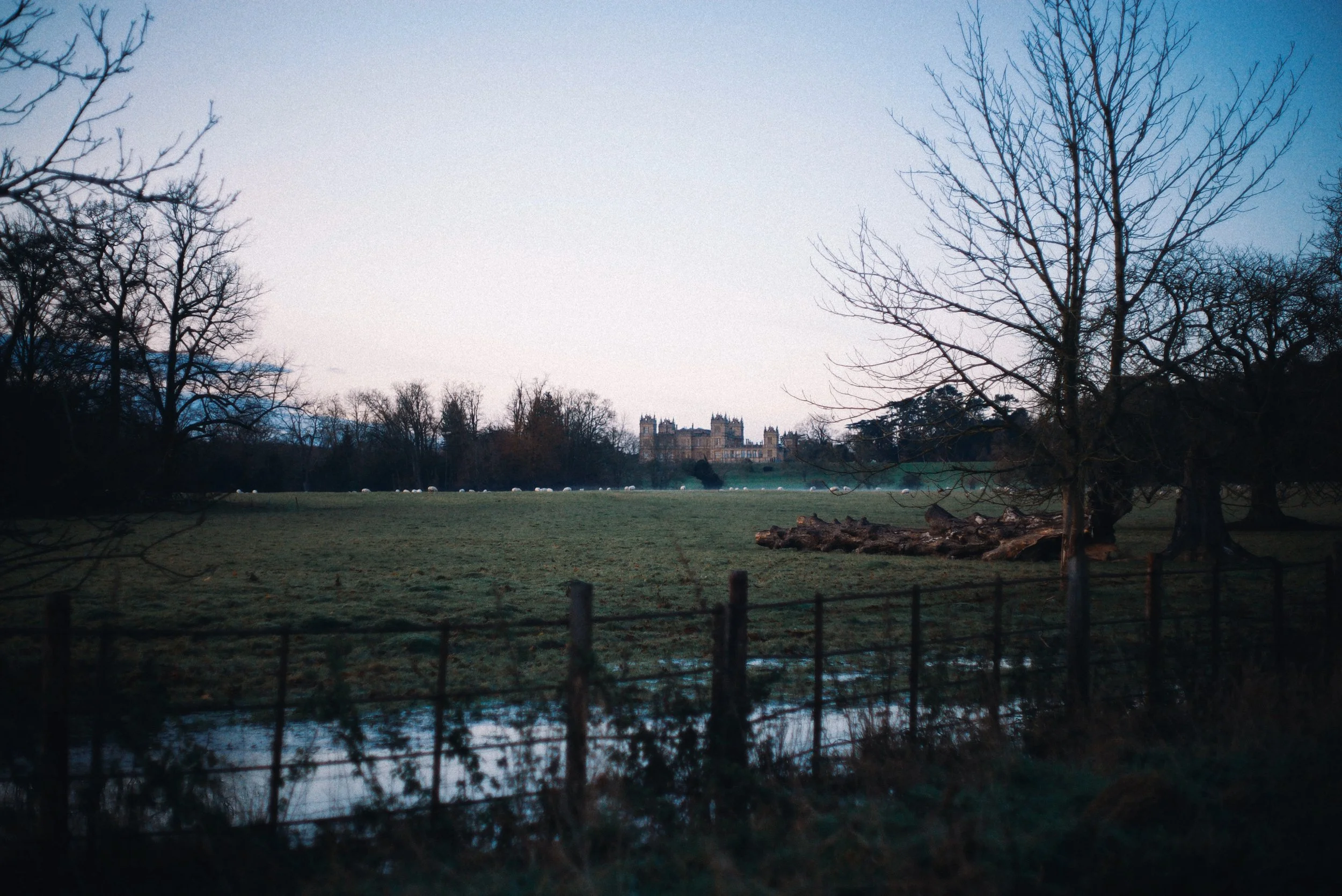 IMG_7370_polarr.JPEG