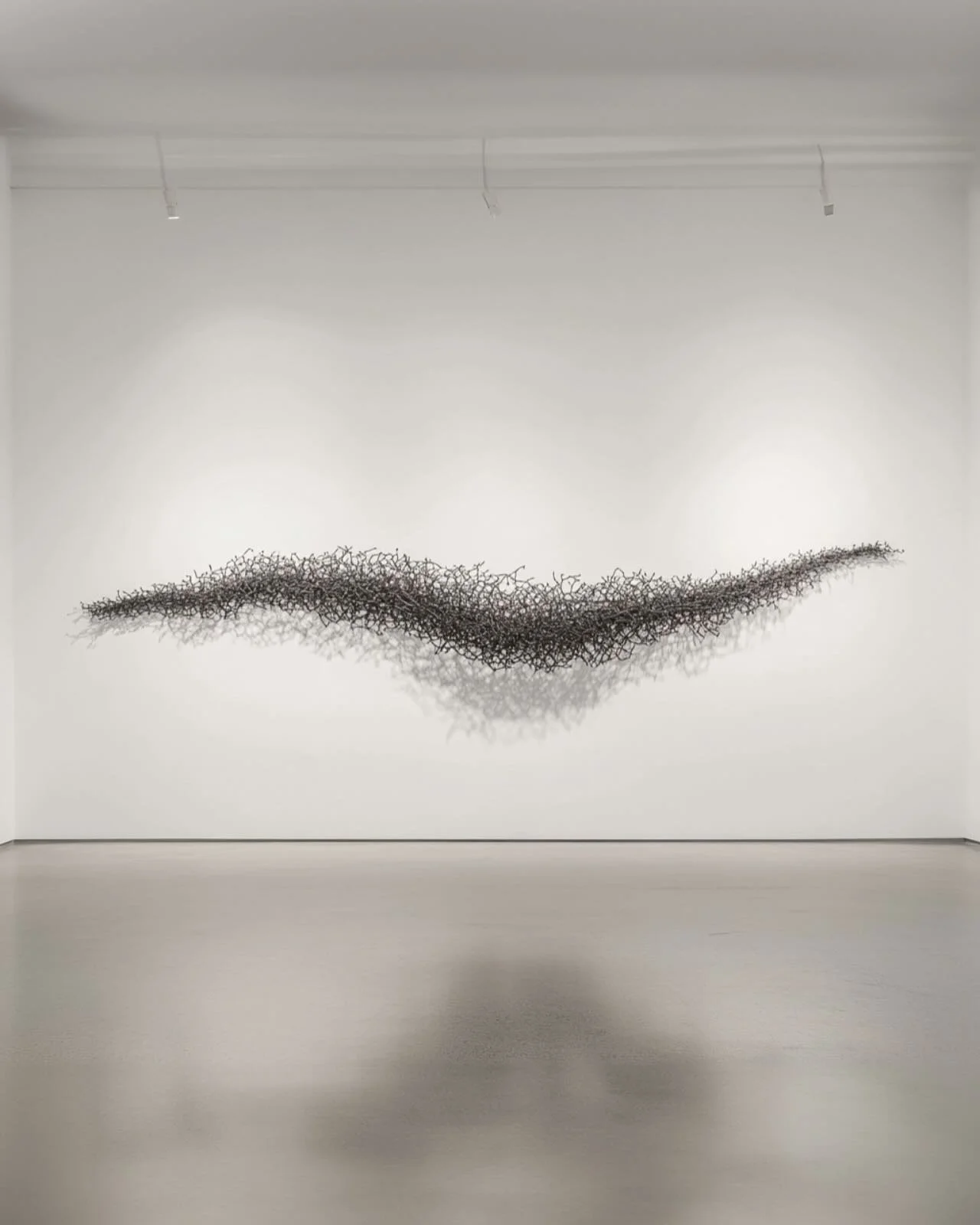 Unraveled Line - fracture in motion, a thread loosening but never lost. tension stretches across space, neither solid nor broken, shifting between presence and absence. 

shadows tangle, edges dissolve, the weight of stillness pressed into form. It l