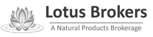 Lotus Brokers