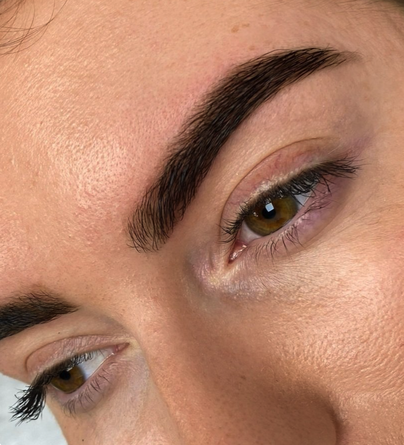 hybrid brows.png