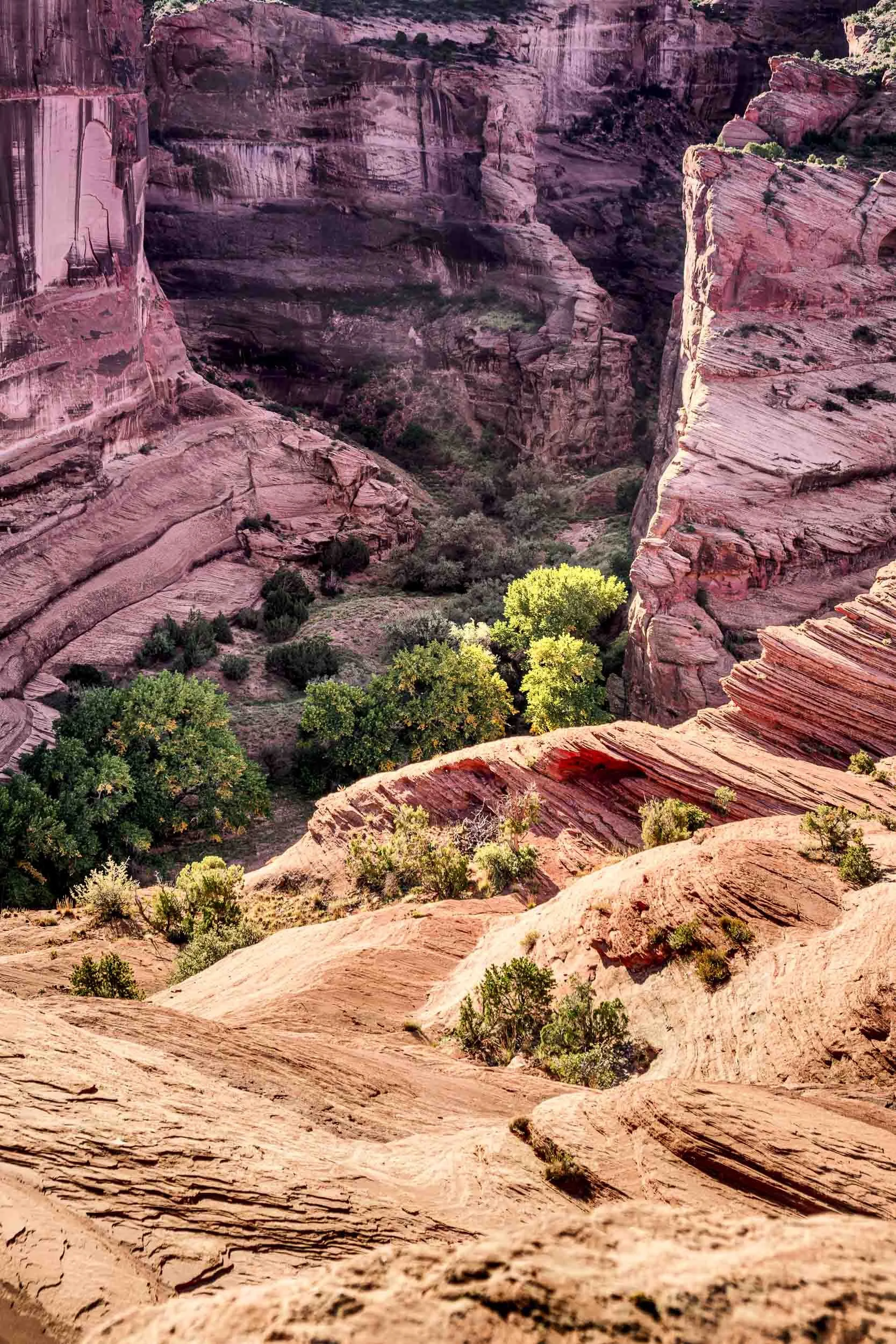 Canyon de Chelly Contrast