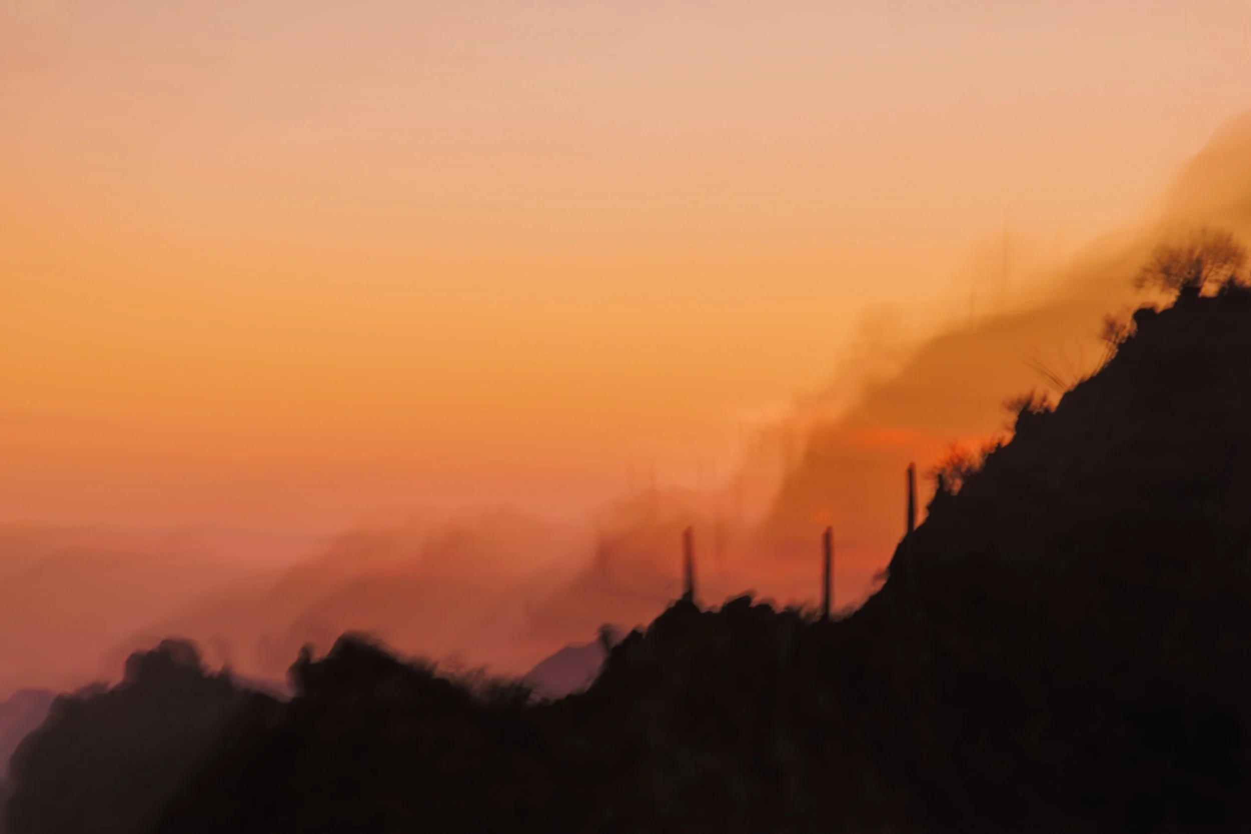 Sonoran Sunset Dream