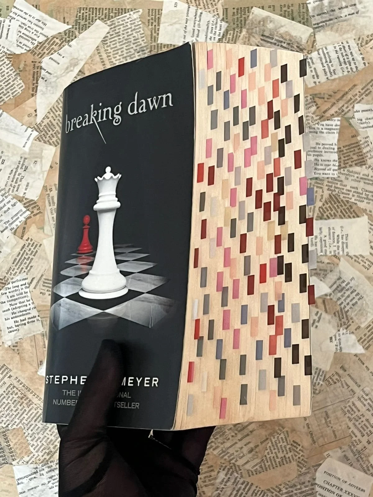 Breaking Dawn by Stephenie Meyer (Book 4)