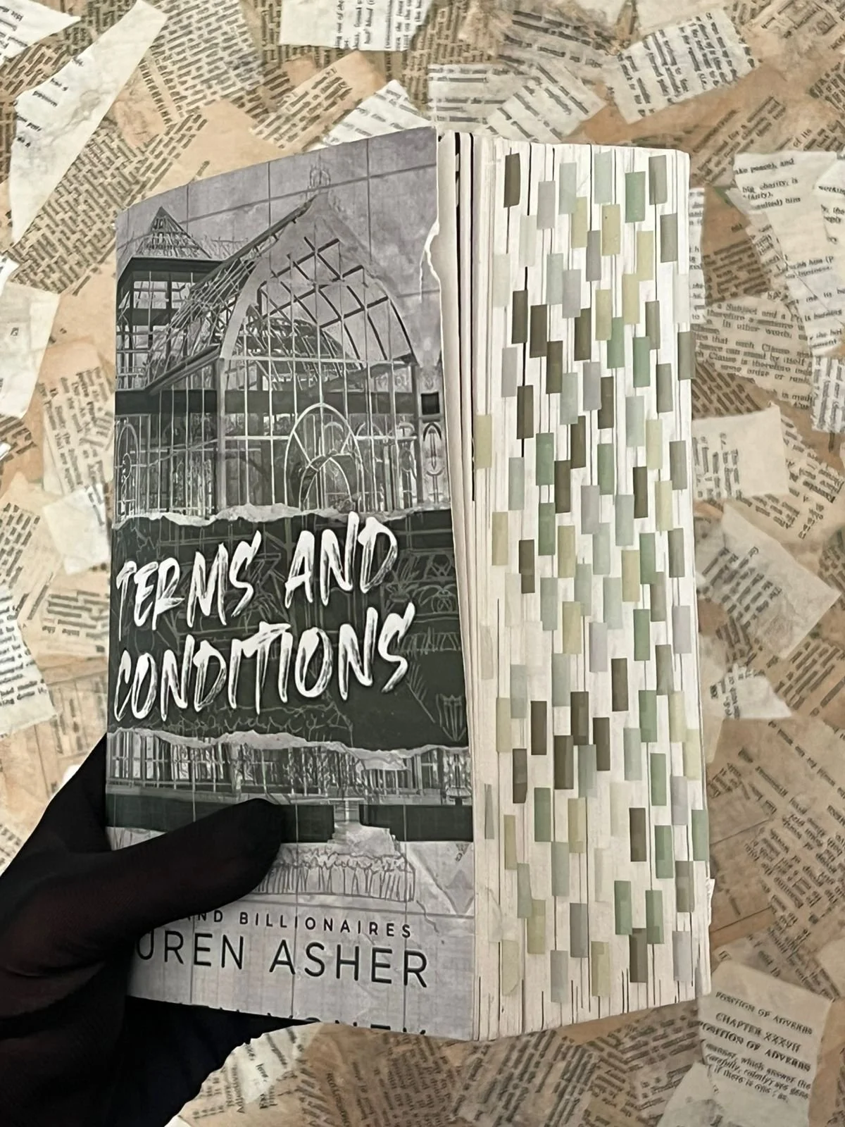 Terms and Conditions by Lauren Asher (Book 2)
