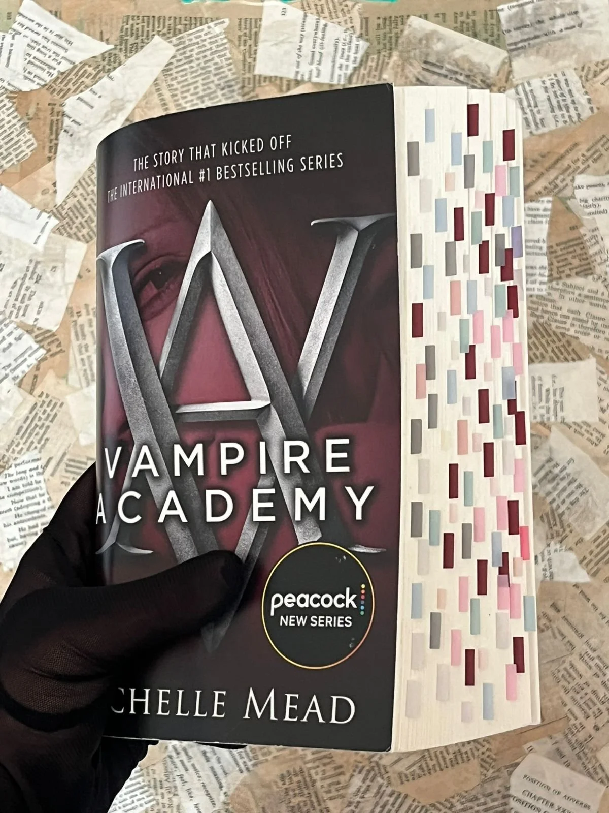 Vampire Academy by Richelle Mead (Book 1)