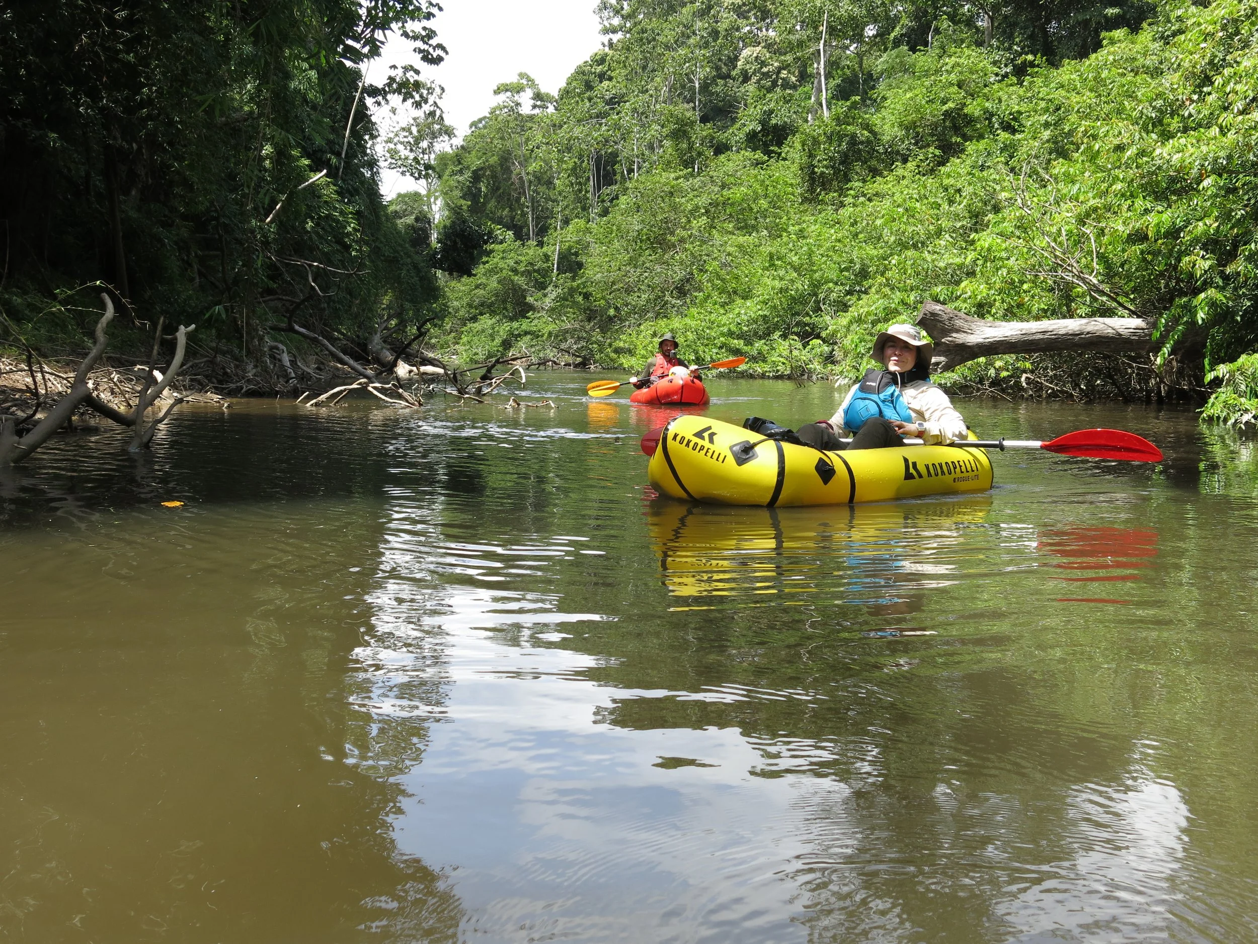 Two people packrafting on a calm river surrounded by lush green forest, with fallen trees and branches visible along the banks.