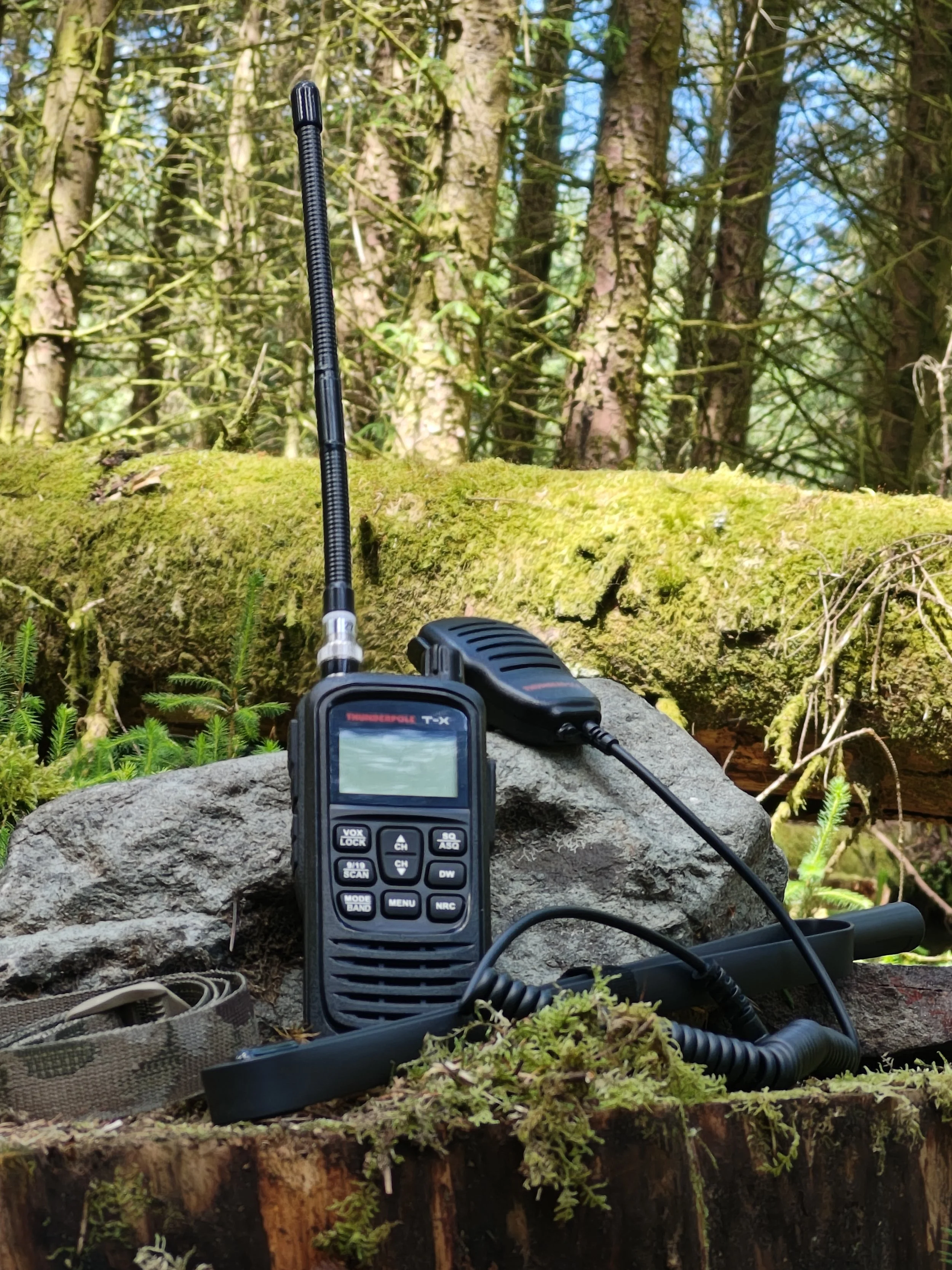 Foundation Survival Course - Loch Ard Forest