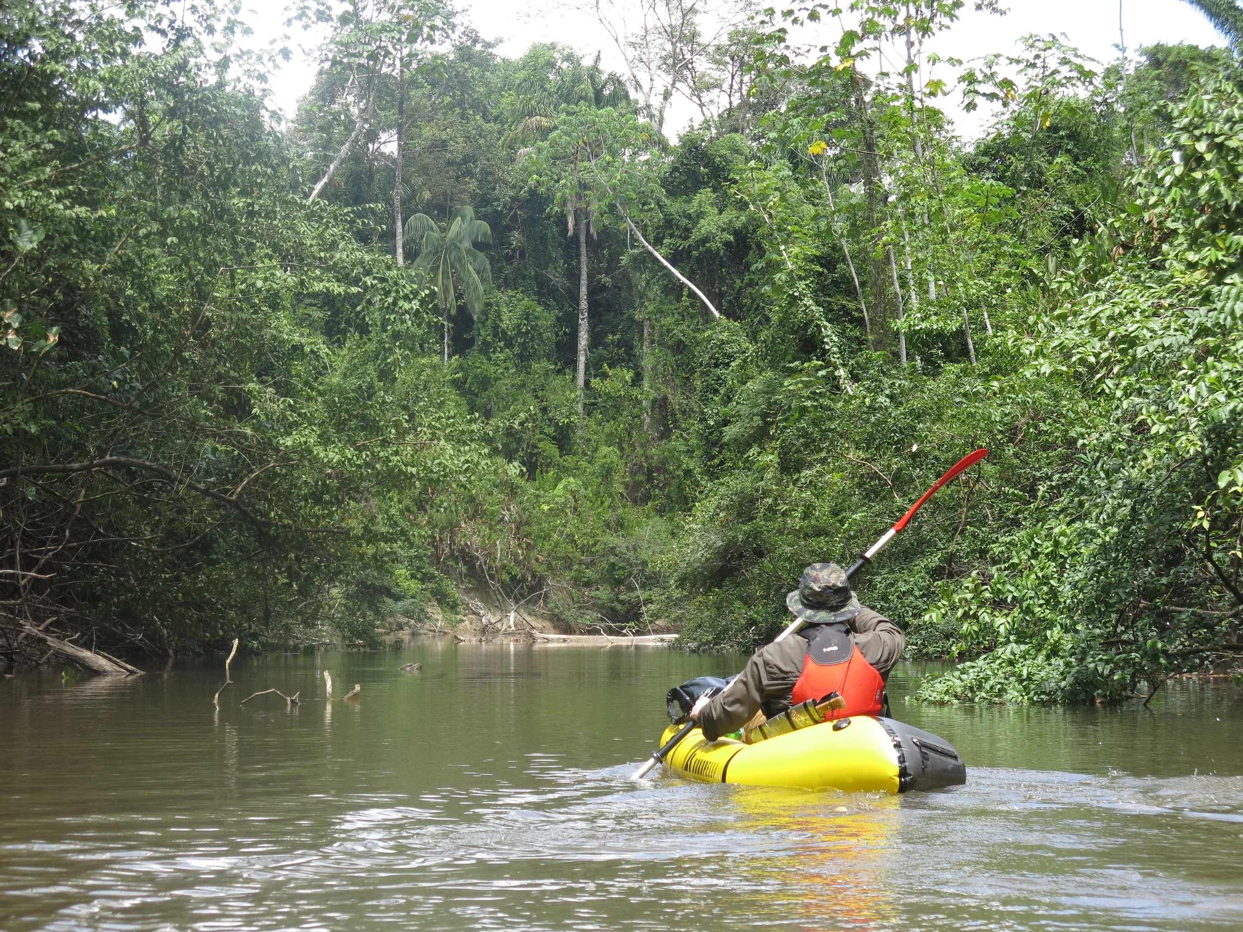 A person in a packraft paddling through a river in a lush, green rainforest.