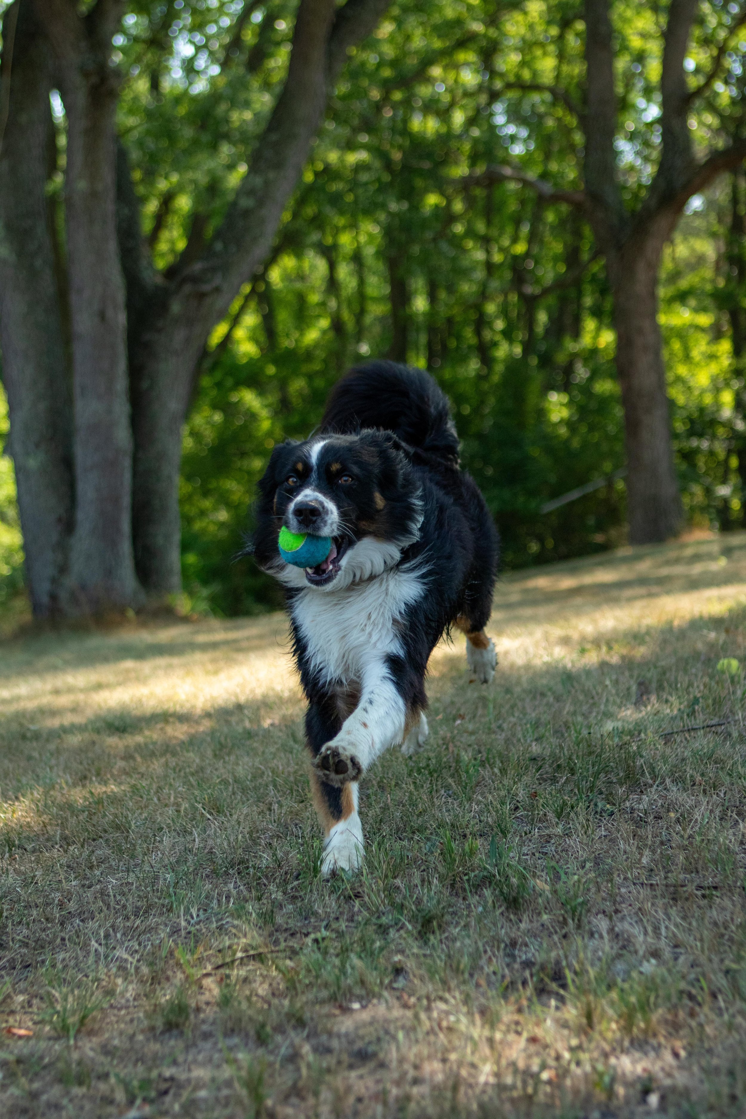 Fulfillment &amp; Joy